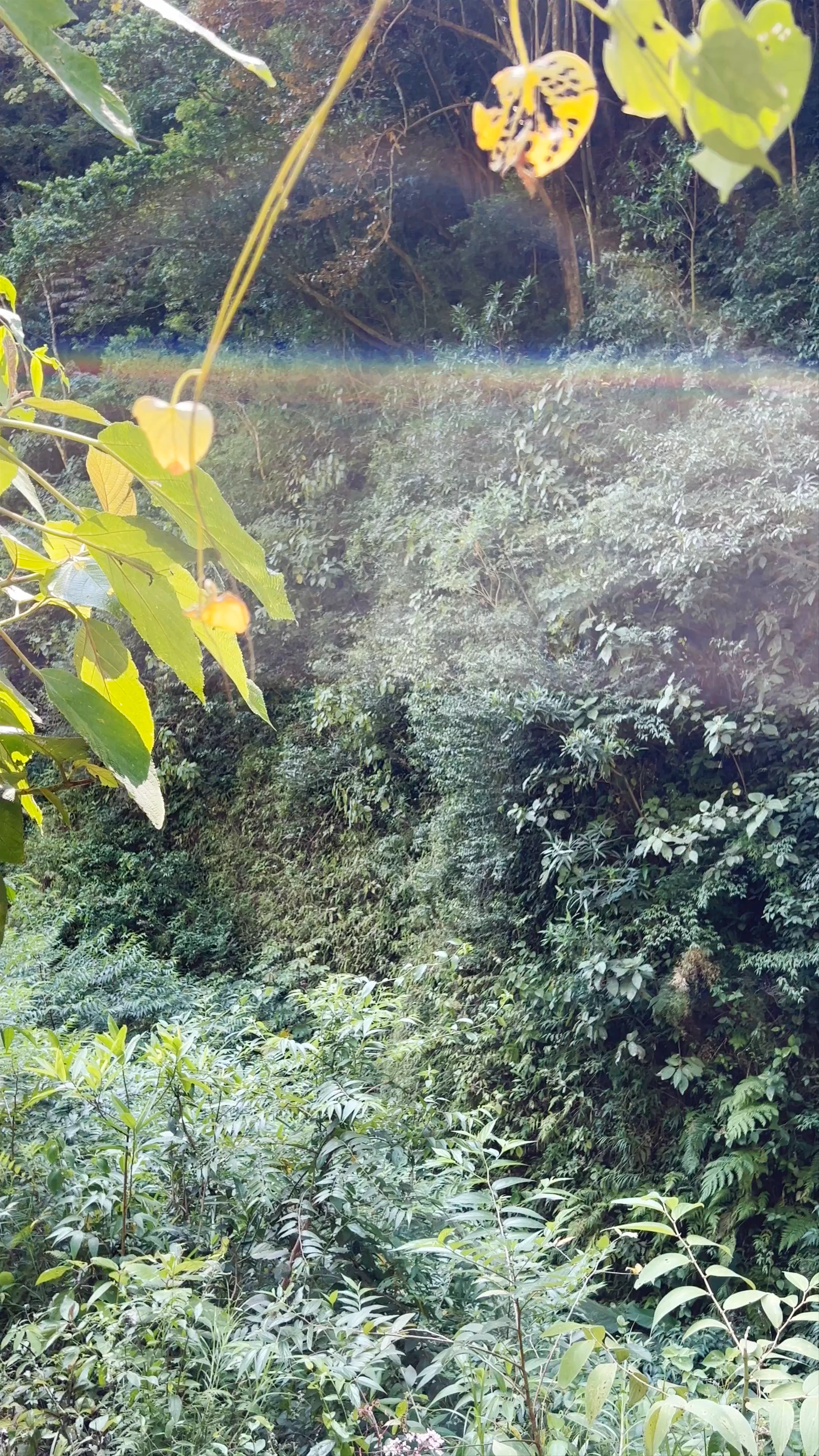 Waterfall of San Ramón