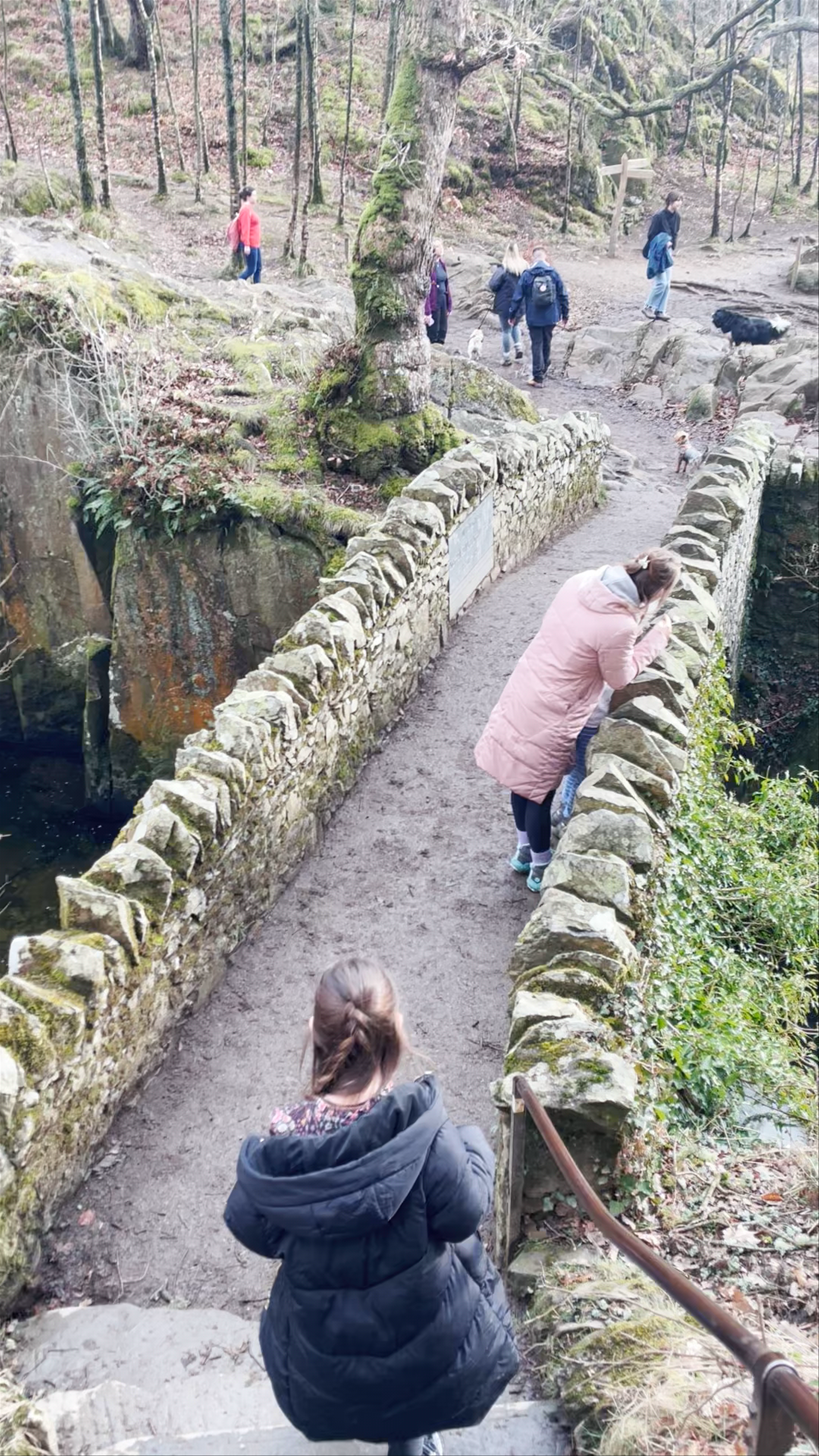 Aira Force Waterfall: A Mystical Woodland Escape in Penrith, UK