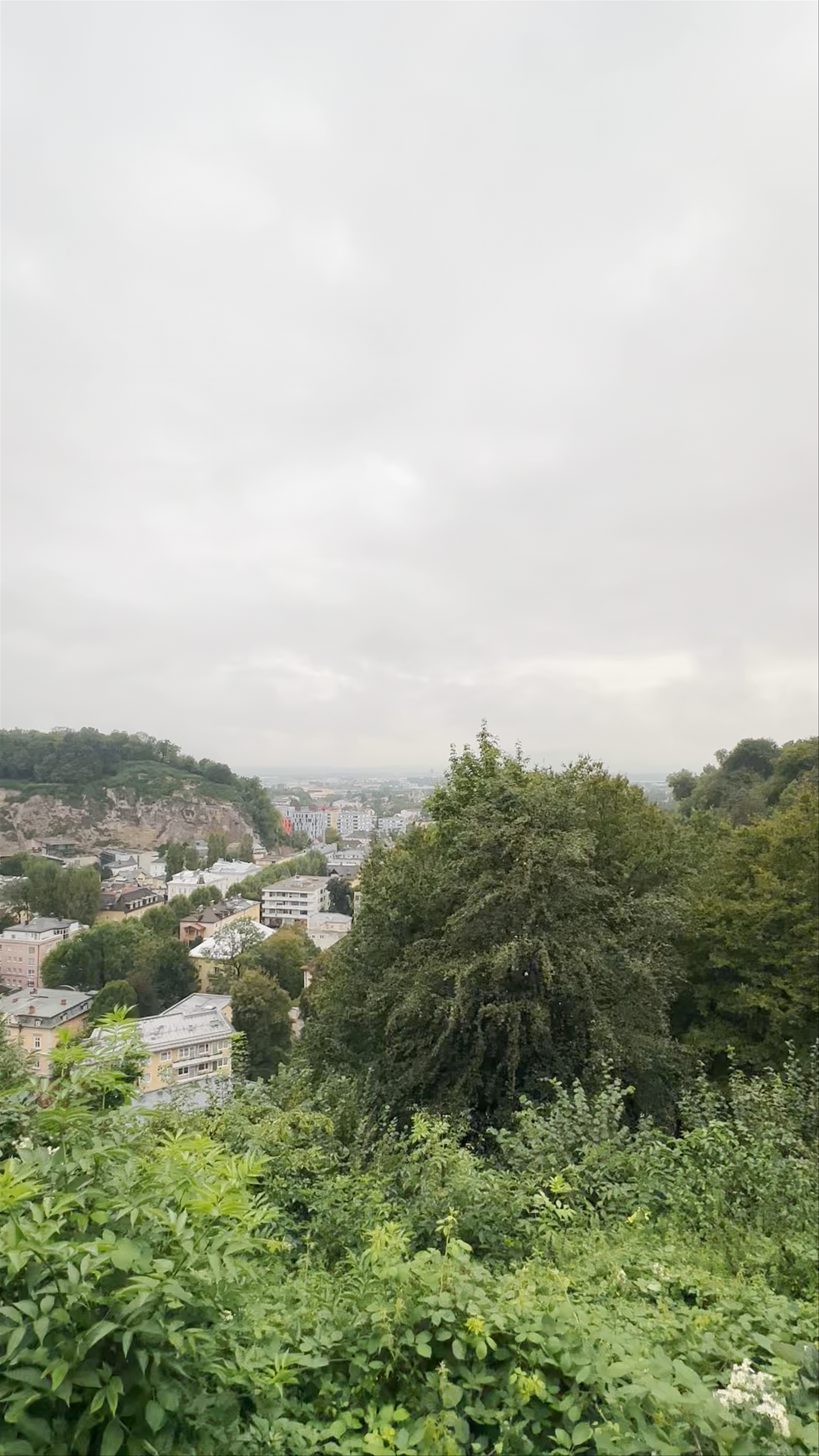 Viewpoint of Old Town