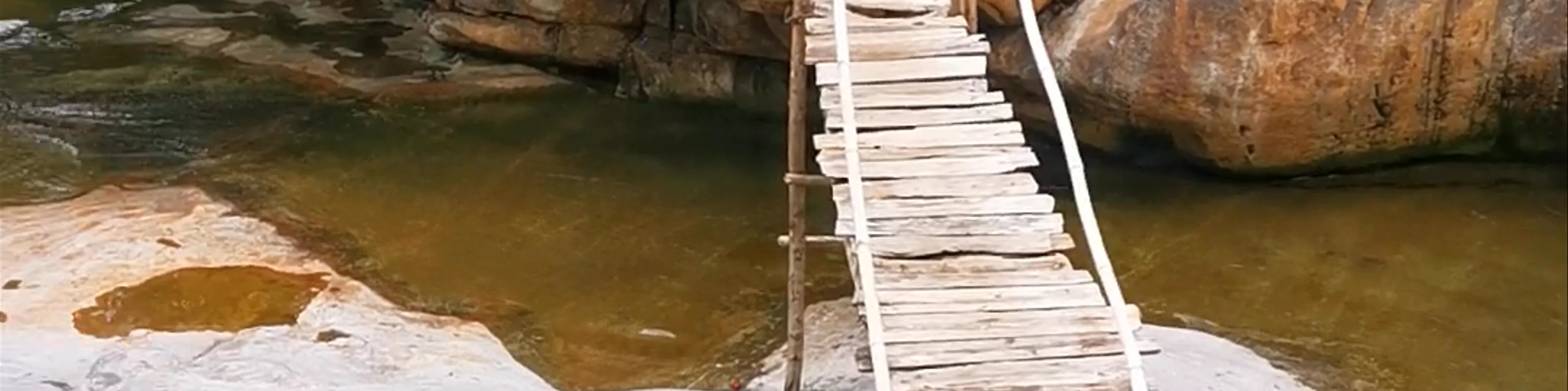 Elephant Springs