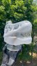 Small image 6