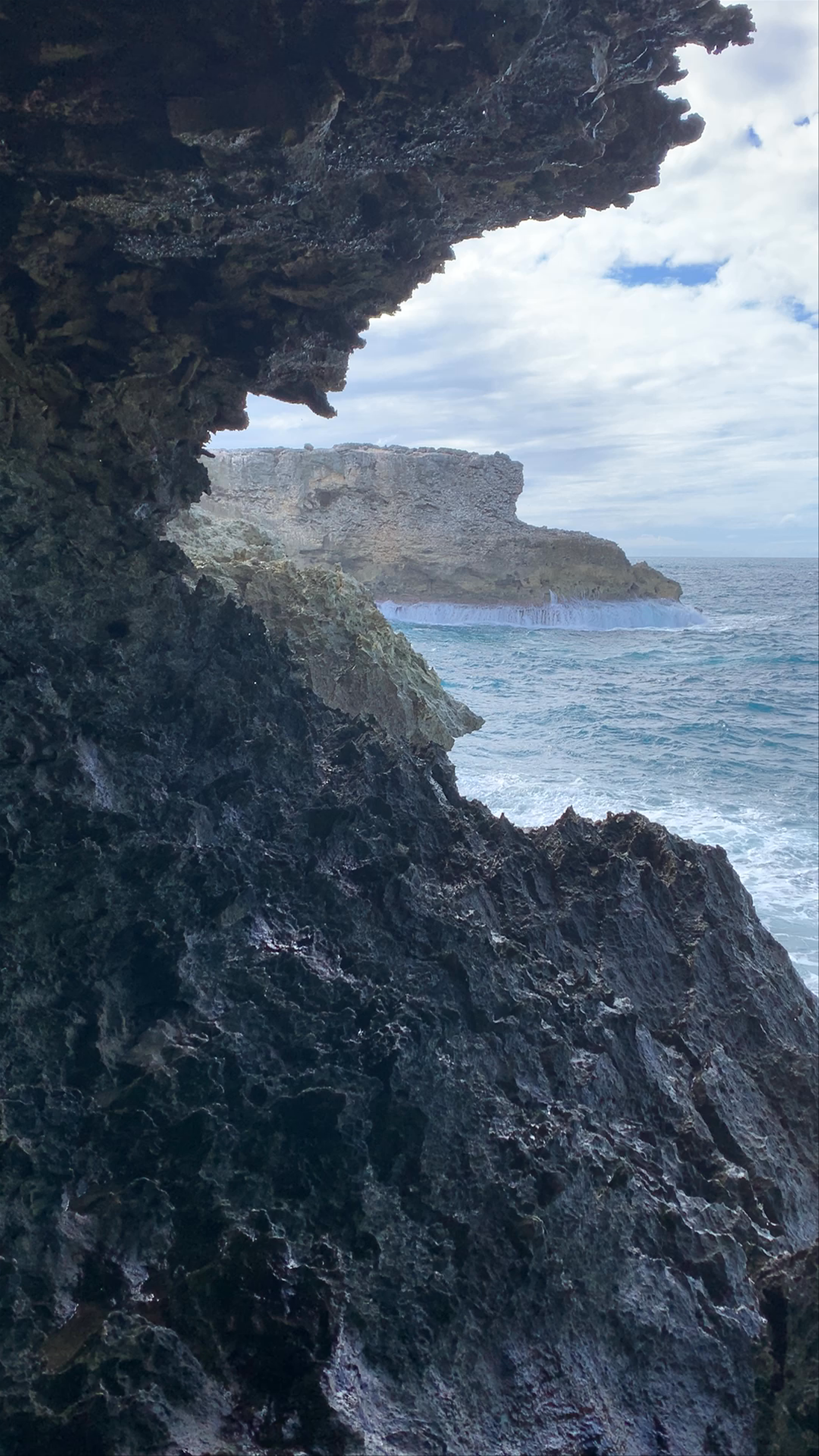 Animal Flower Cave & Restaurant