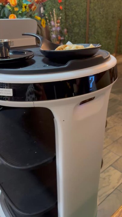 Pho Shi - Asian Fusion Near Me - Troy, Michigan