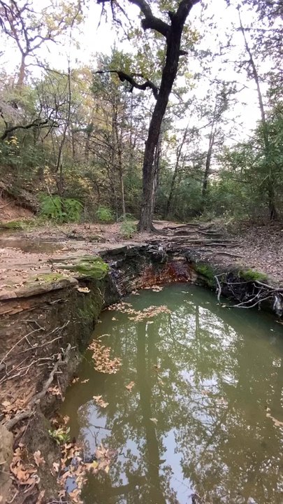 Crystal Canyon Natural Area - Parks Near Me - Arlington, Texas