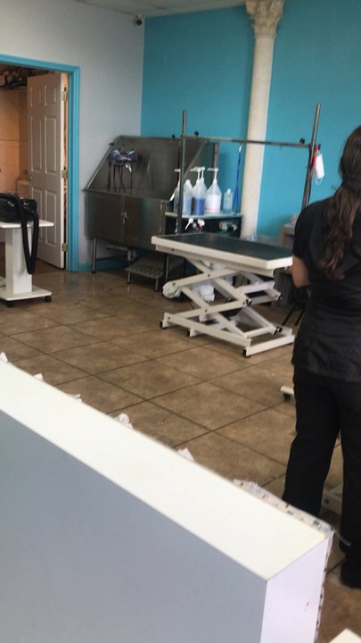Fancy Paws Pet Styling - Very Clean Today. Great Organization - Pet Groomers Near Me - Port St. Lucie, Florida