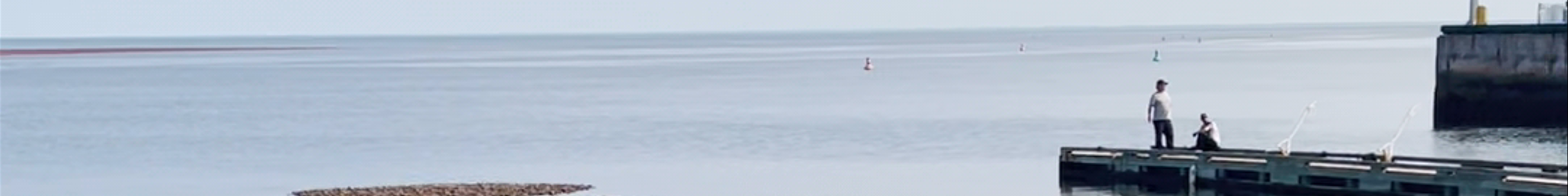 Tours & experiences in Summerside