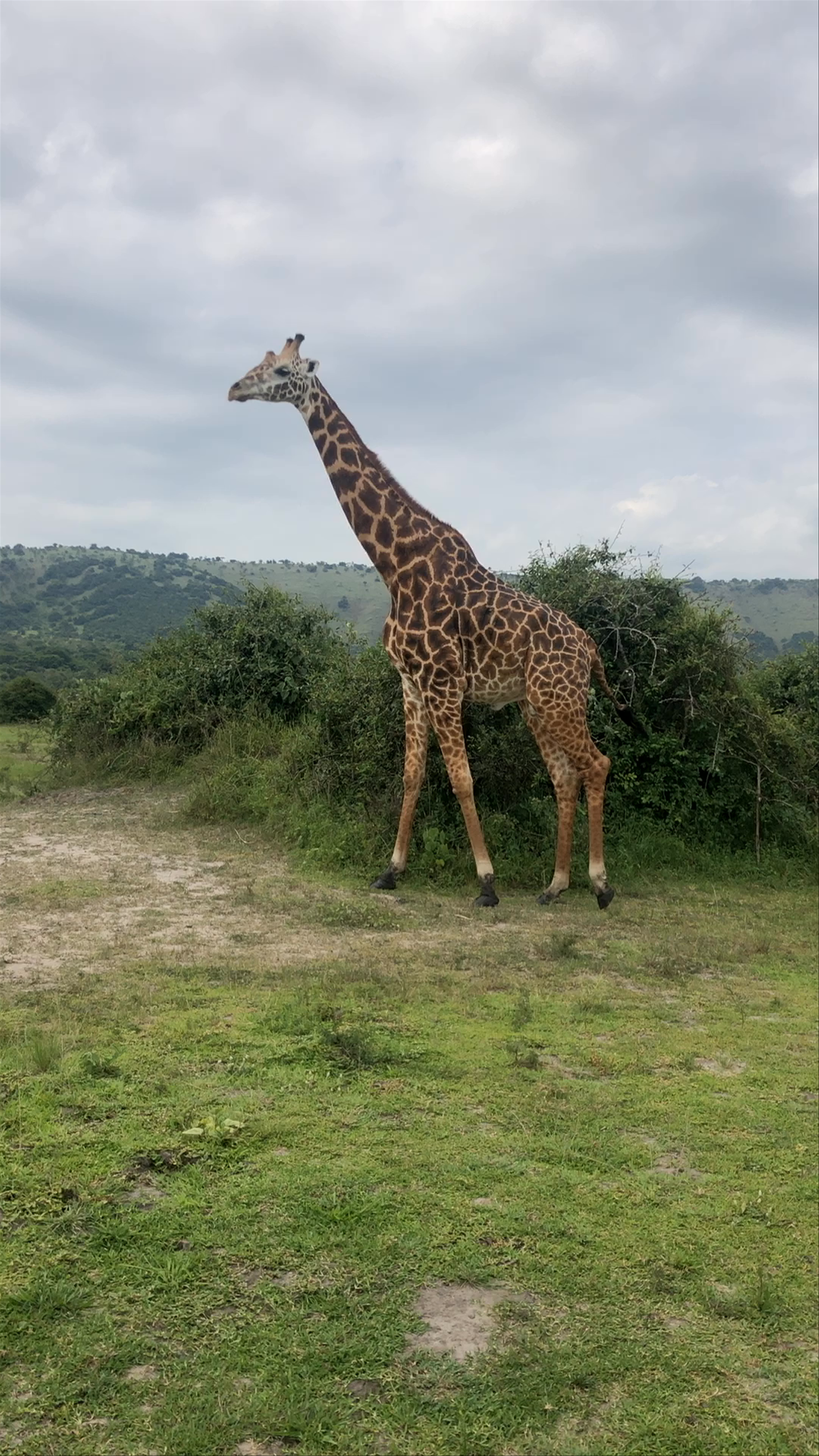 Akagera National Park