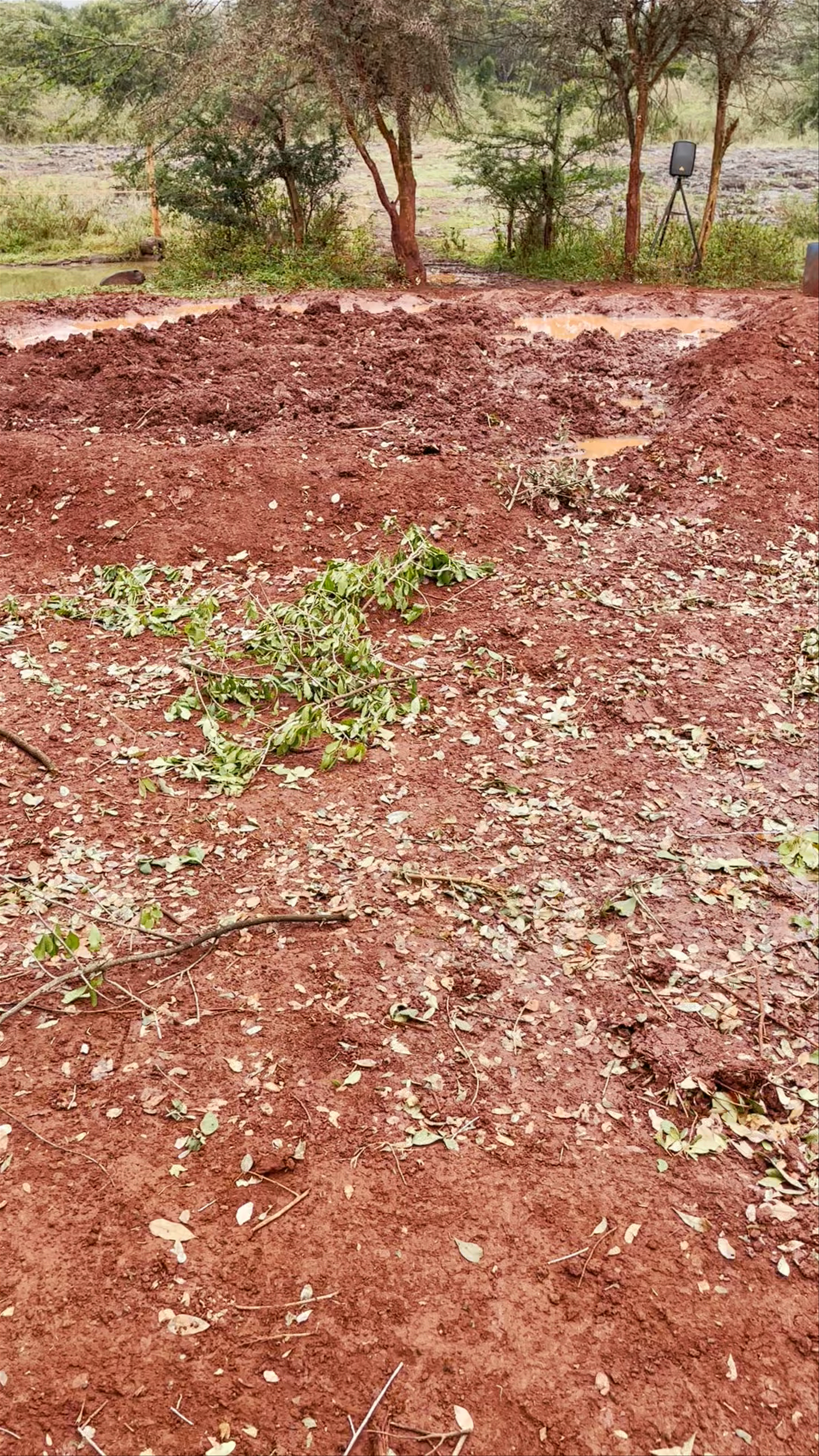 Sheldrick Elephant Orphanage