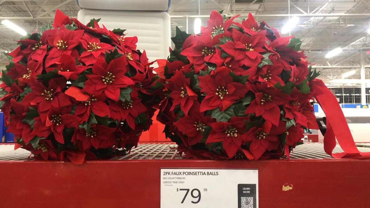 Sam's Club - Wholesale Stores Near Me - Plano, Texas