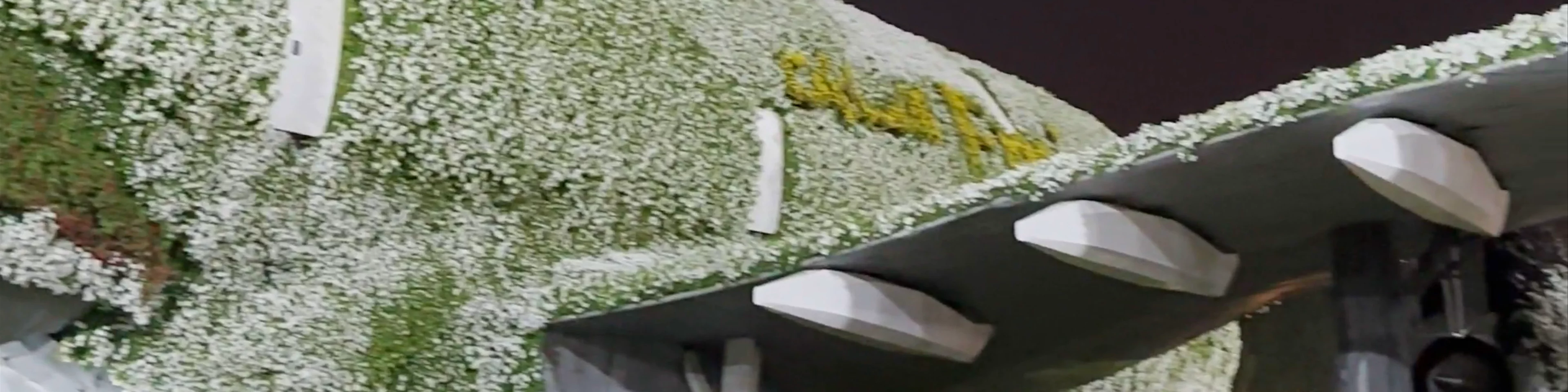 Miracle Garden Airplane Flowers - Dubai - United Arab Emirates