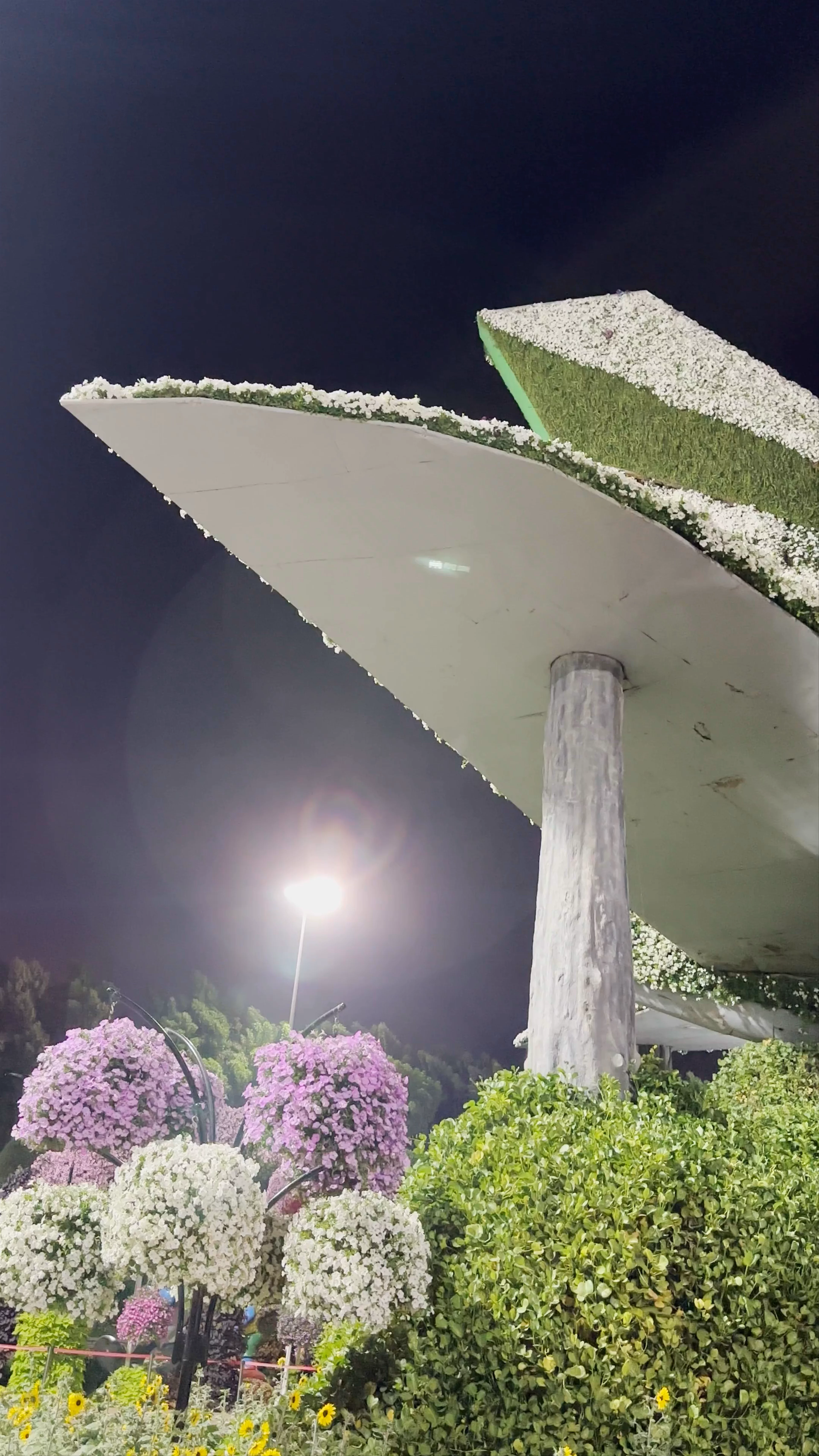 Miracle Garden Airplane Flowers