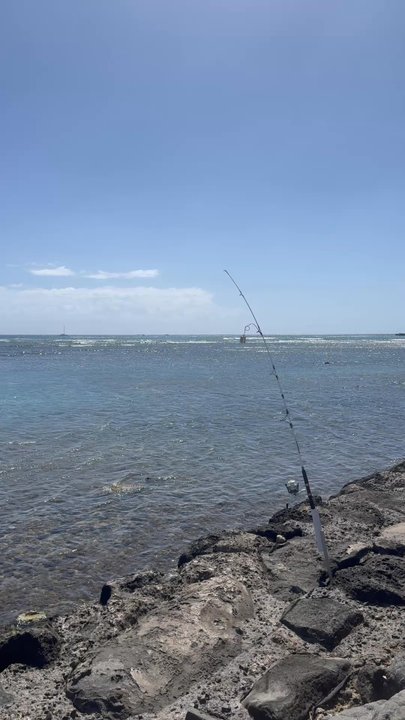 Kewalo Basin Park - Parks Near Me - Honolulu, Hawaii