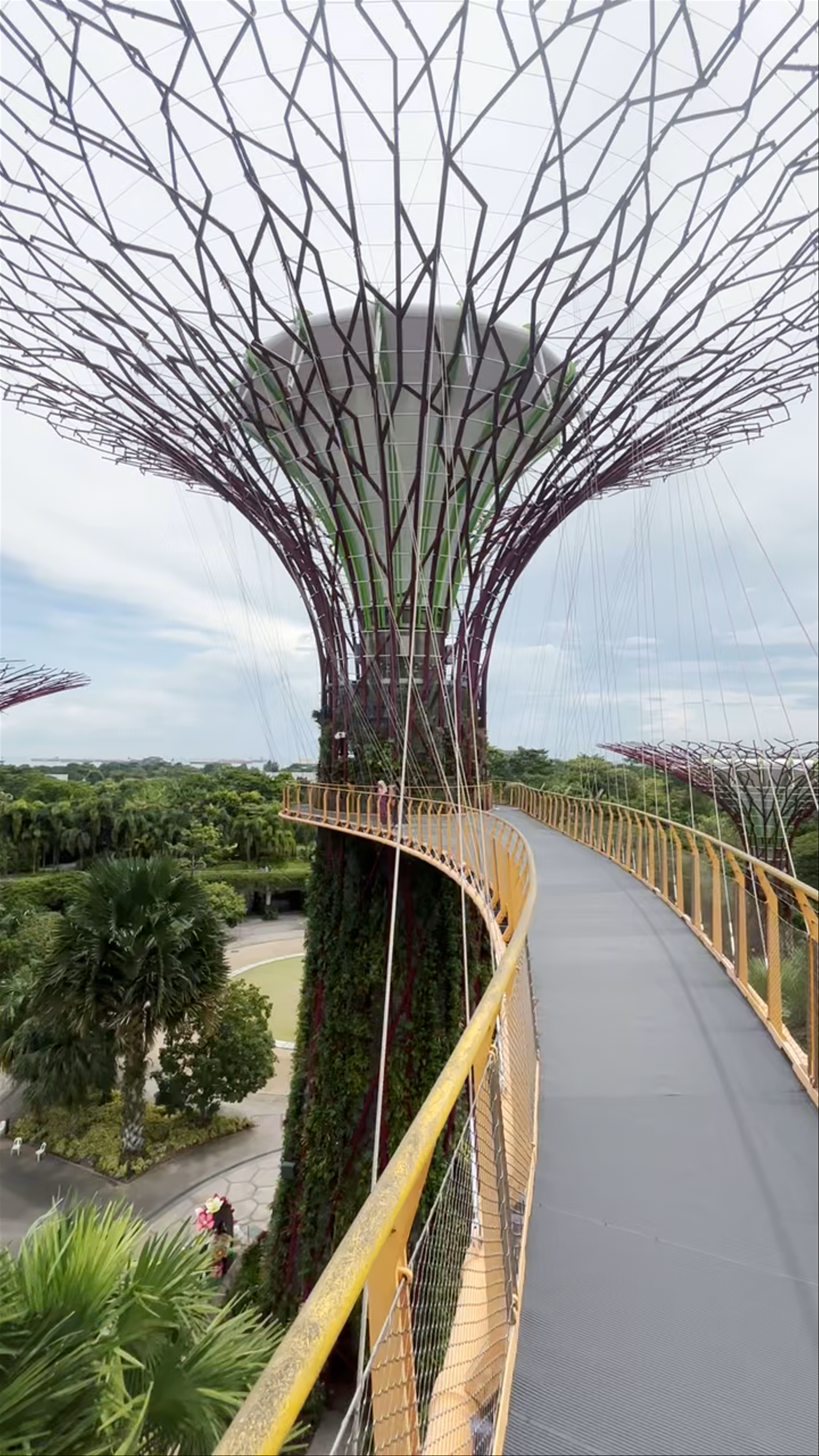 Marina Gardens Drive