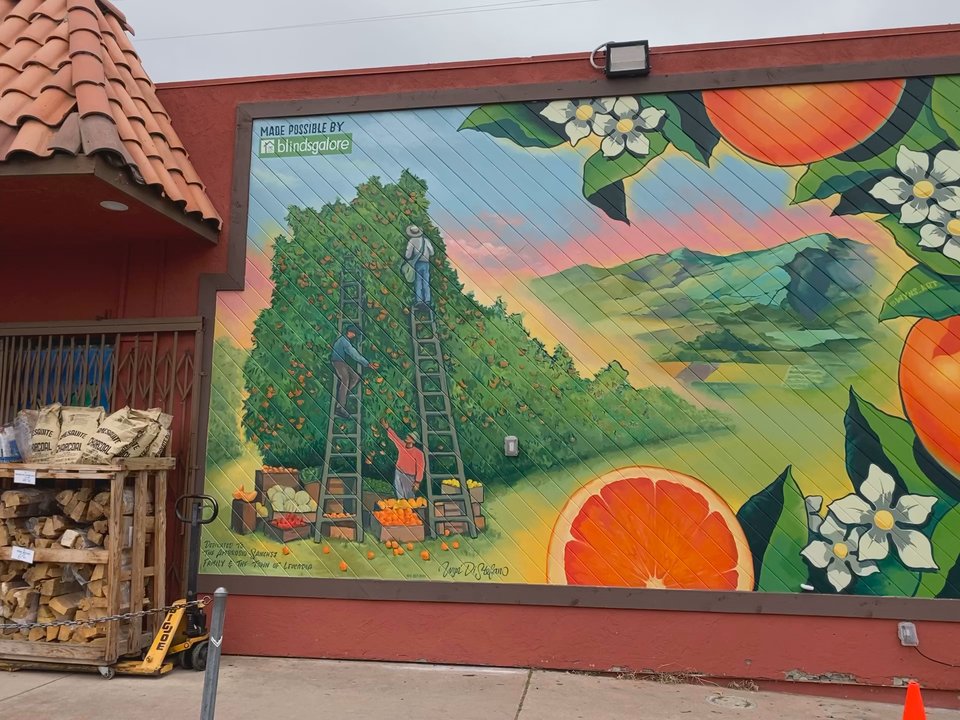 Just Peachy - Grocery Near Me - Encinitas, California