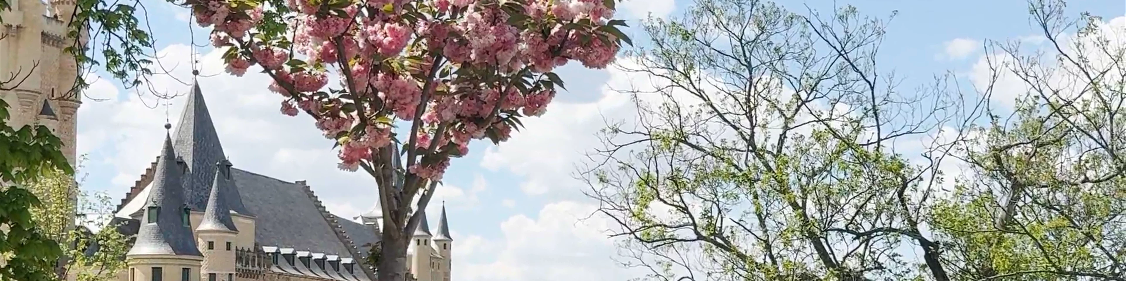 Alcázar de Segovia