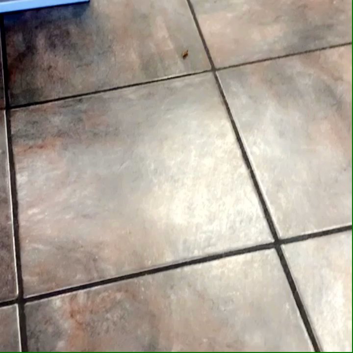 Lush Nail Spa - There was a roach on the floor&started crawling on a ladys foot,cuticle remover had dead skin from the previous customer.Didn't use gloves - Nail Salons Near Me - Aurora, Colorado