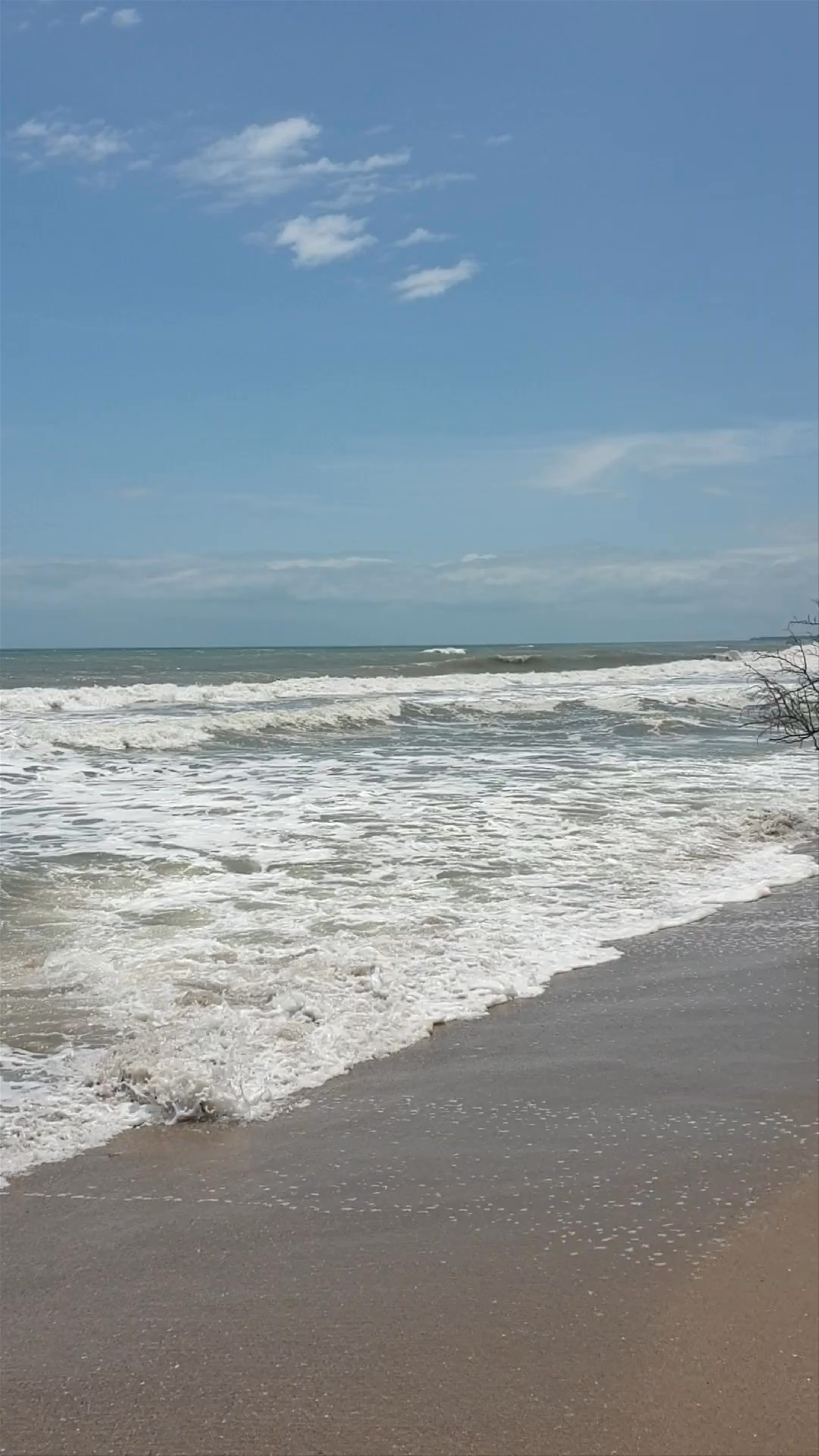 PLAYA PALOMINO BEACH