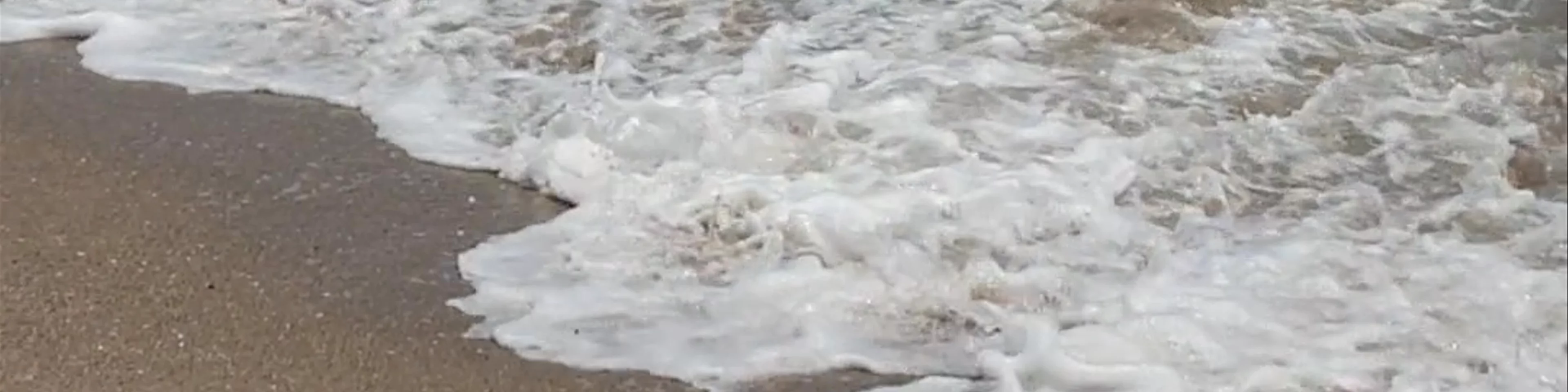 PLAYA PALOMINO BEACH