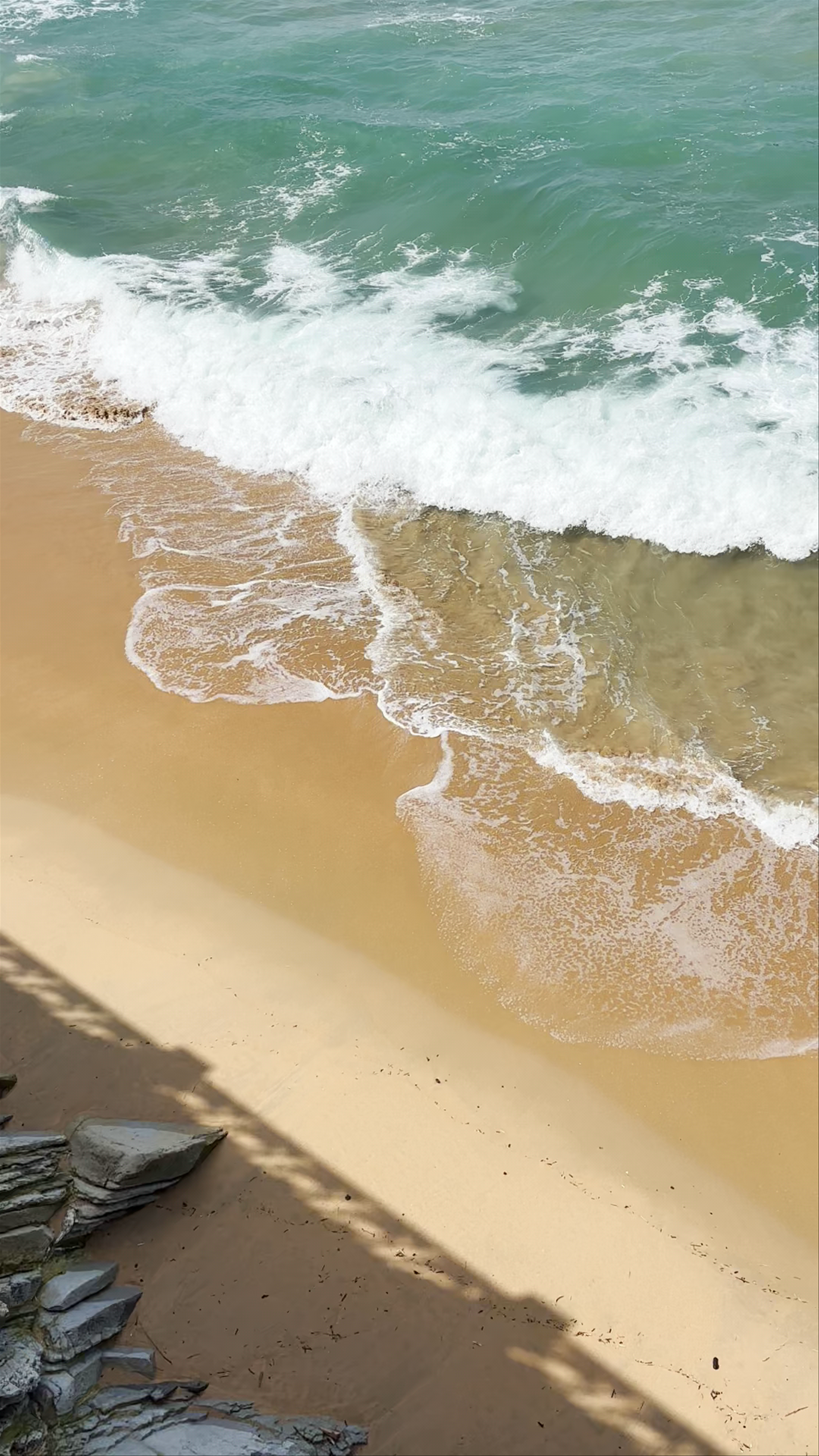 Playa de la concha
