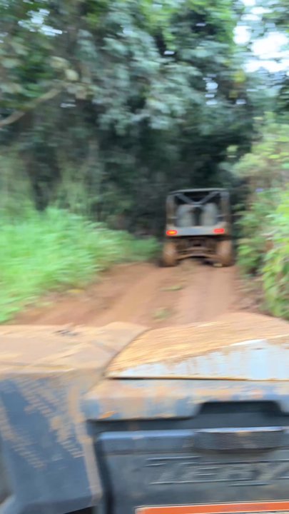 Video thumbnail 51 more videos