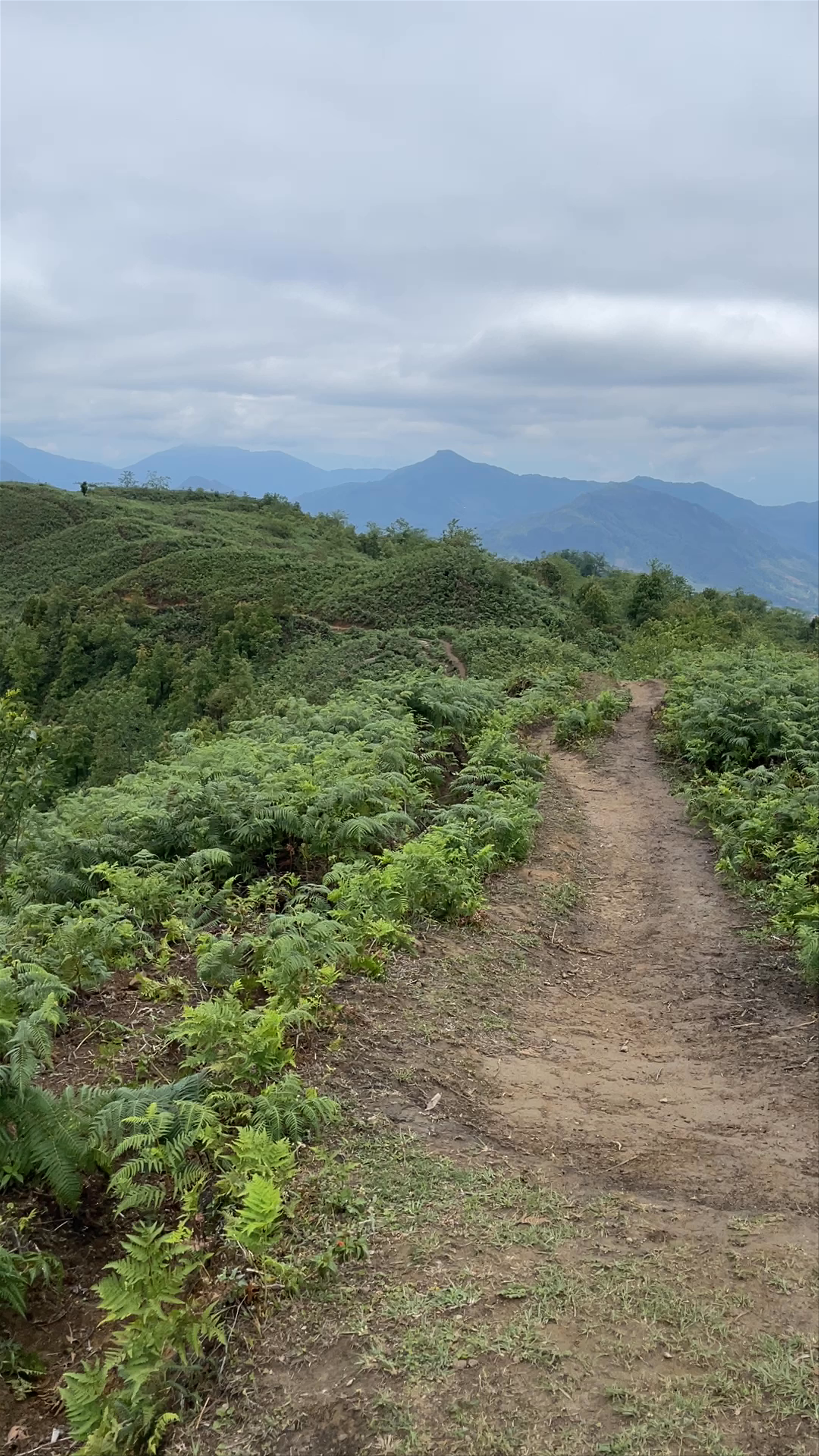 Vue panoramique Sapa