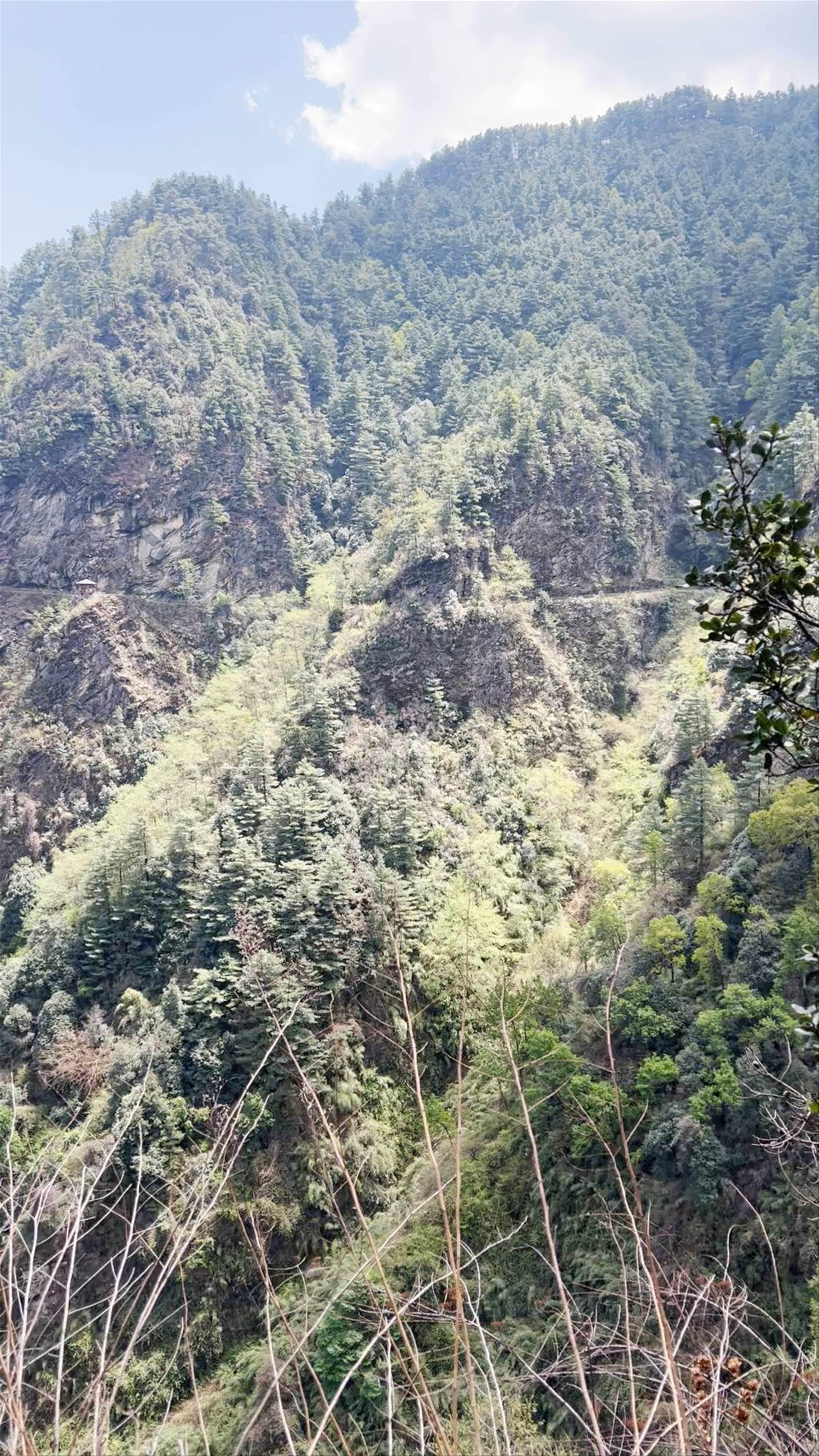 Cangshan Scenic Area