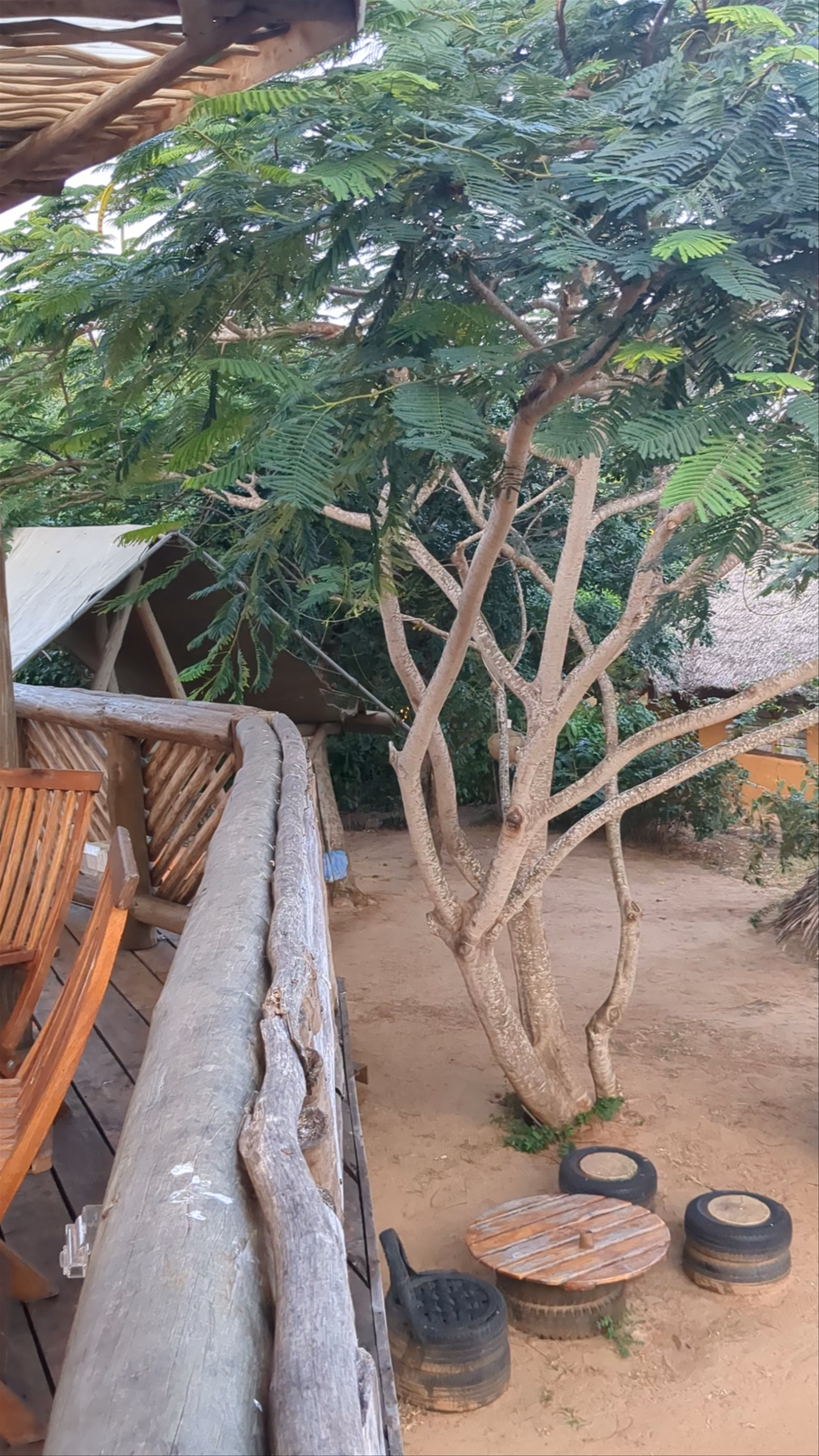 Distant Relatives Ecolodge & Backpackers