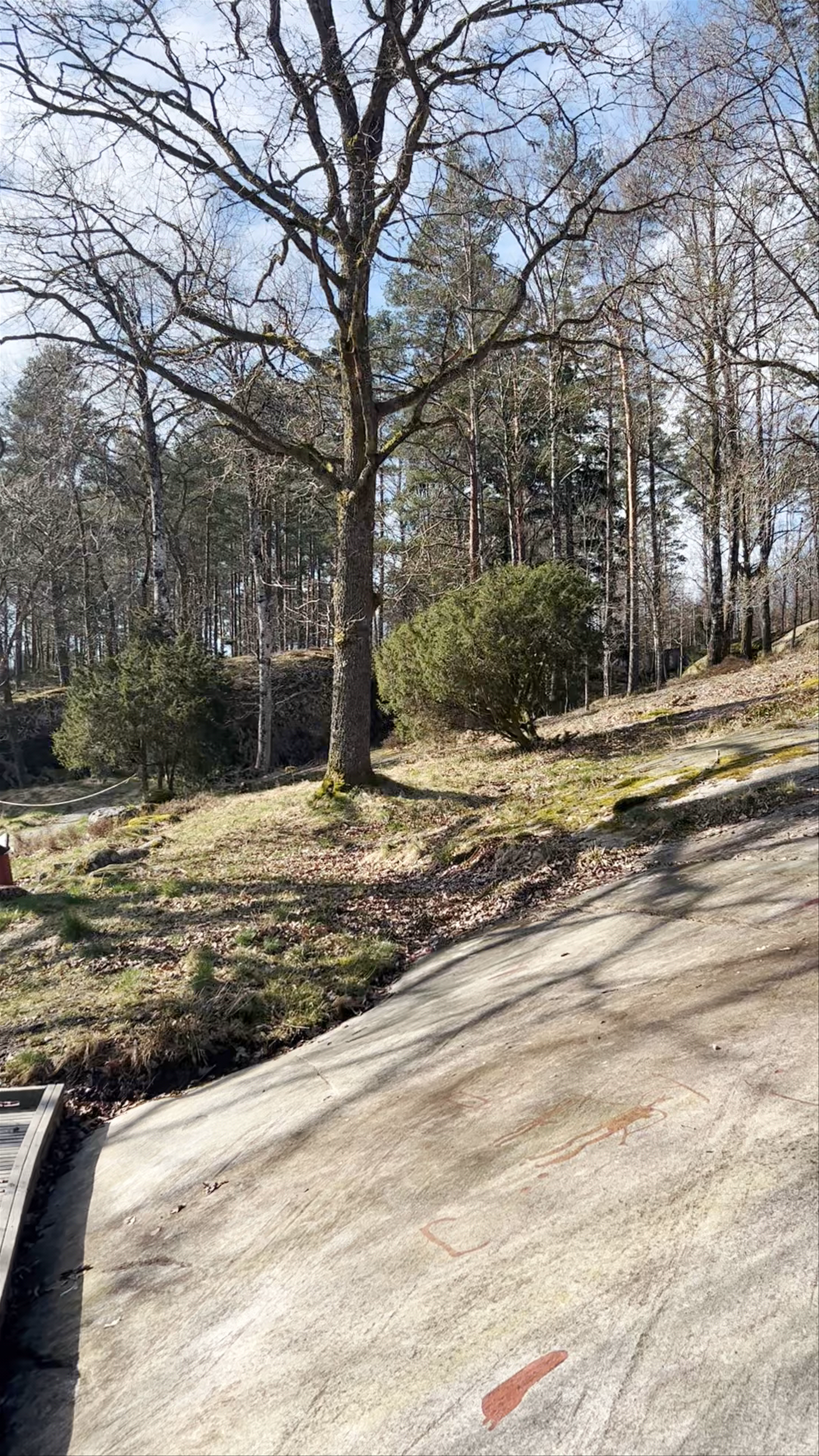 Hällristningarna vid Lökeberg