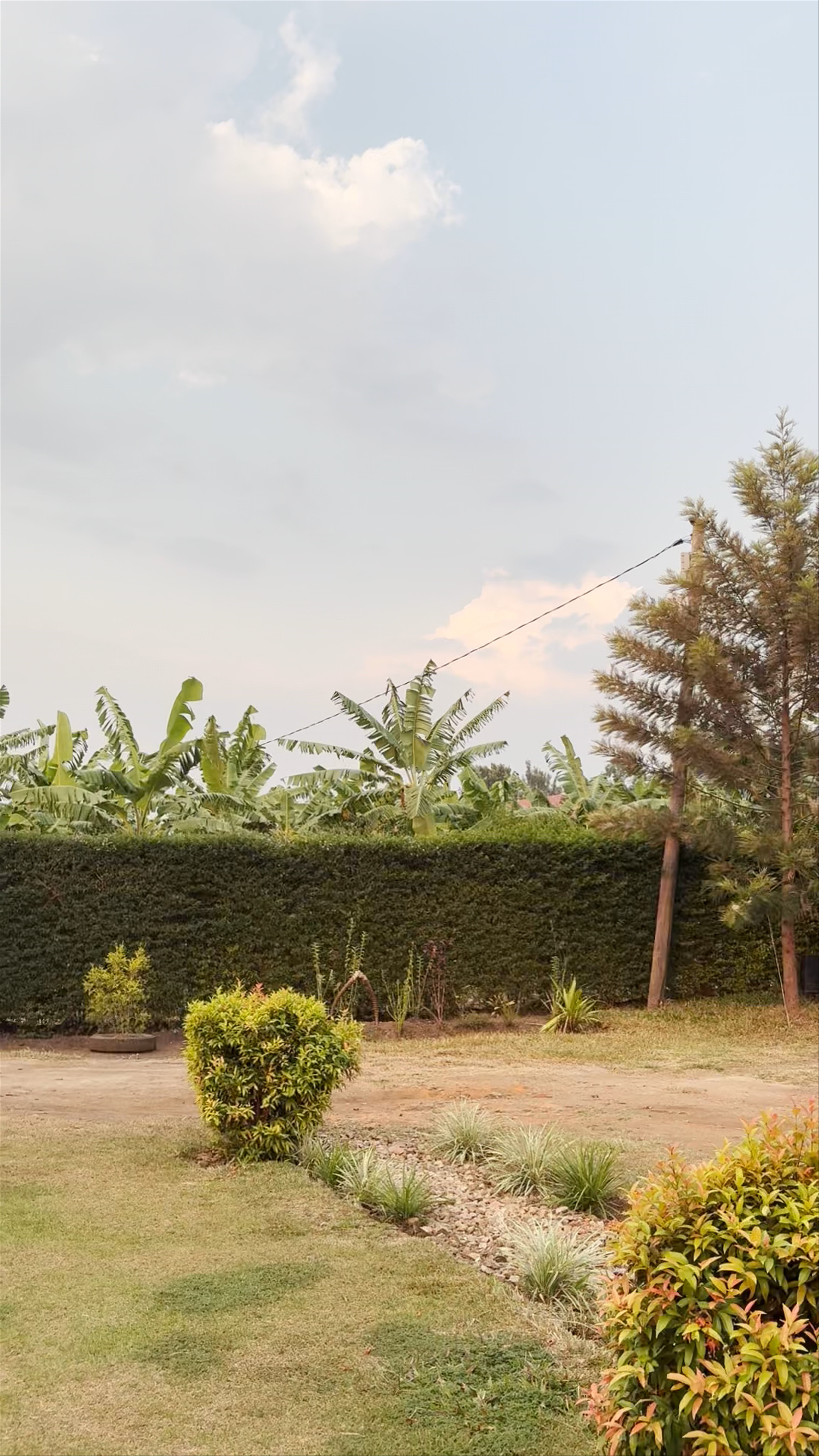 Lights of kazinga orphanage & homestay