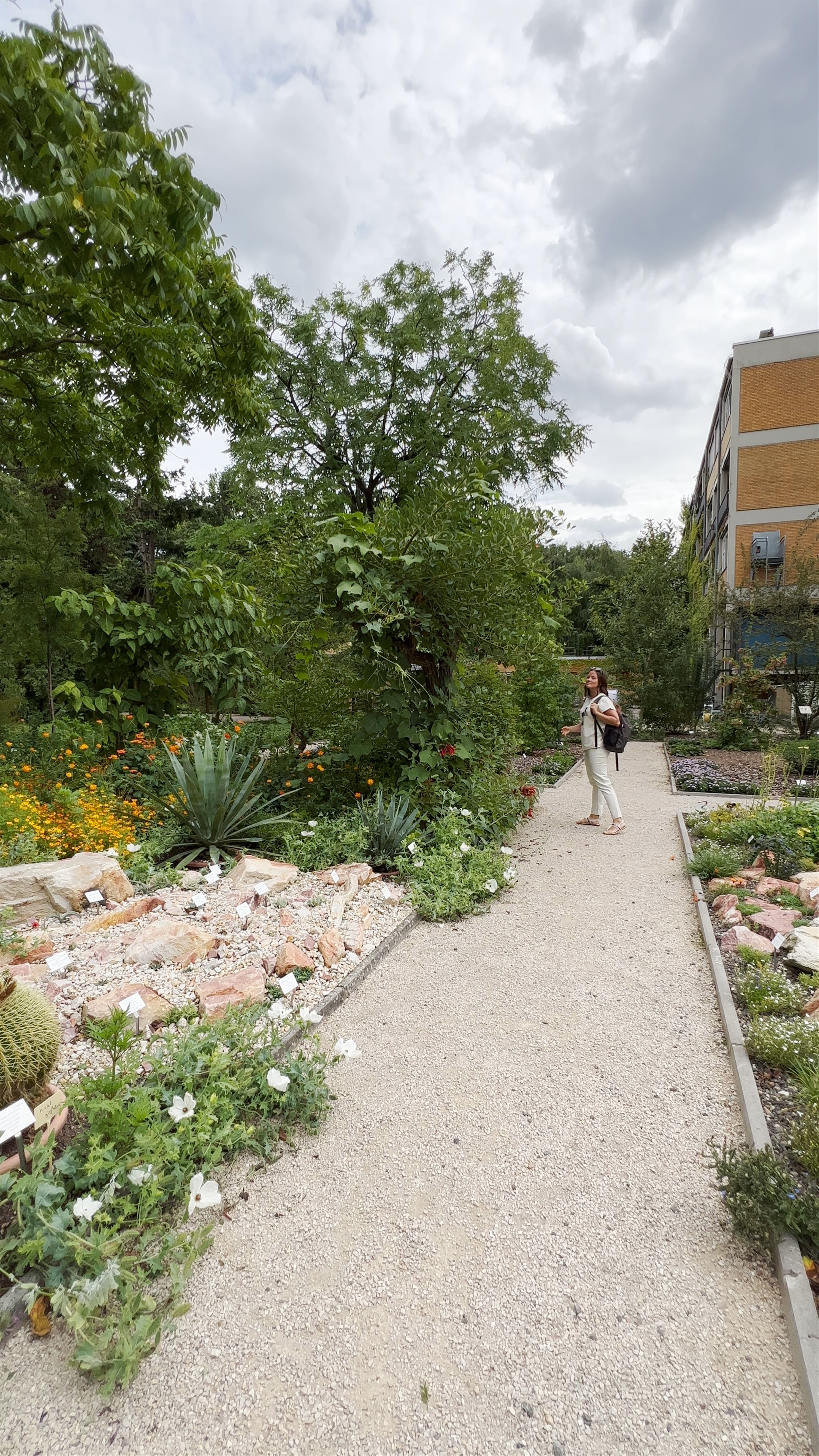 Botanischer Garten Frankfurt