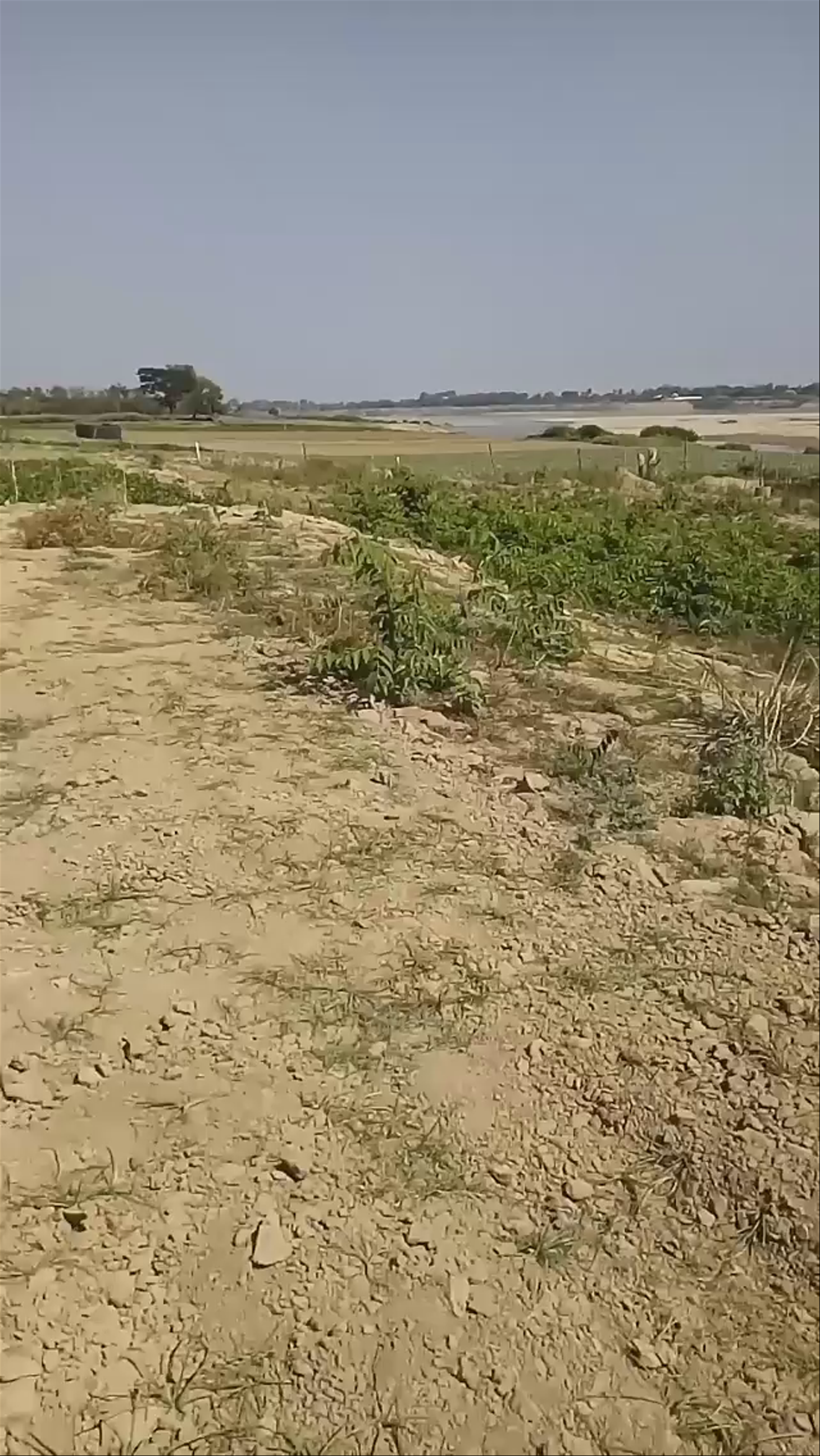 Buddha Park (Wat Xieng Khouane Luang)