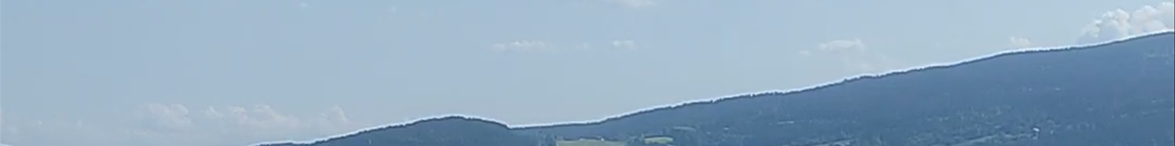 Tours & experiences in Austria