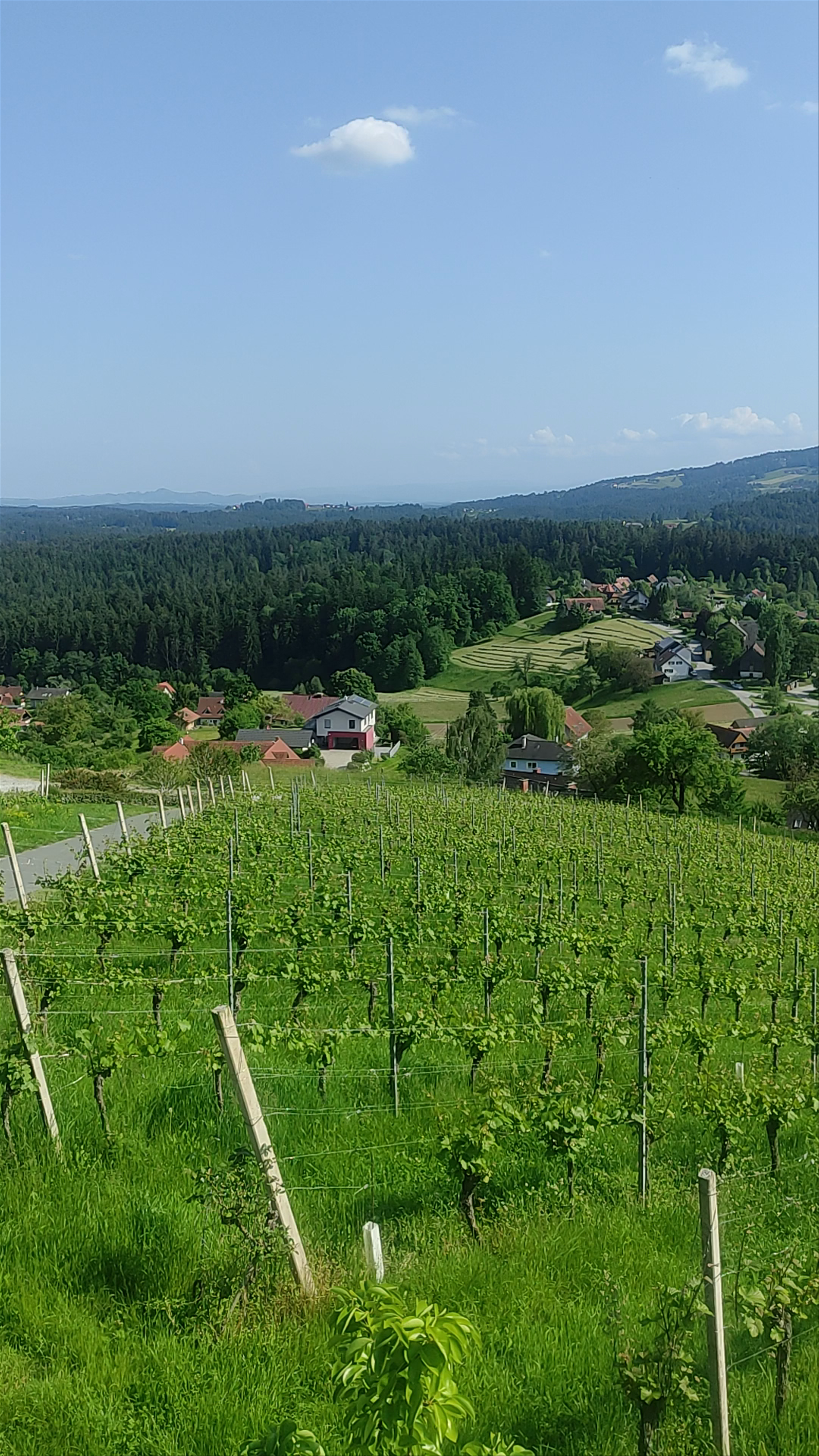 Buschenschank Kremser-Greitbauer