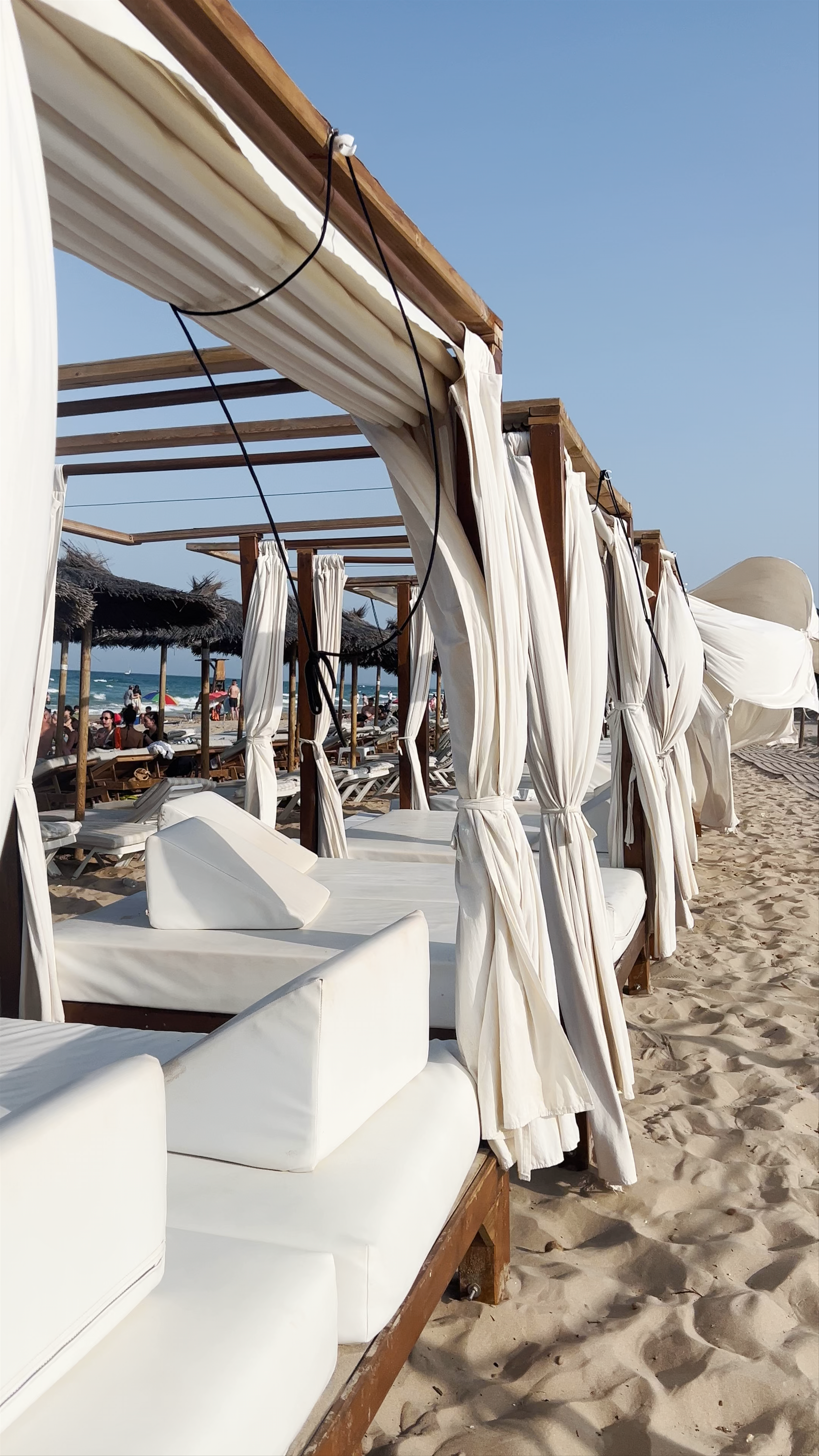 Chiringuito The Blue Monkey Beach Club, Arenals del Sol