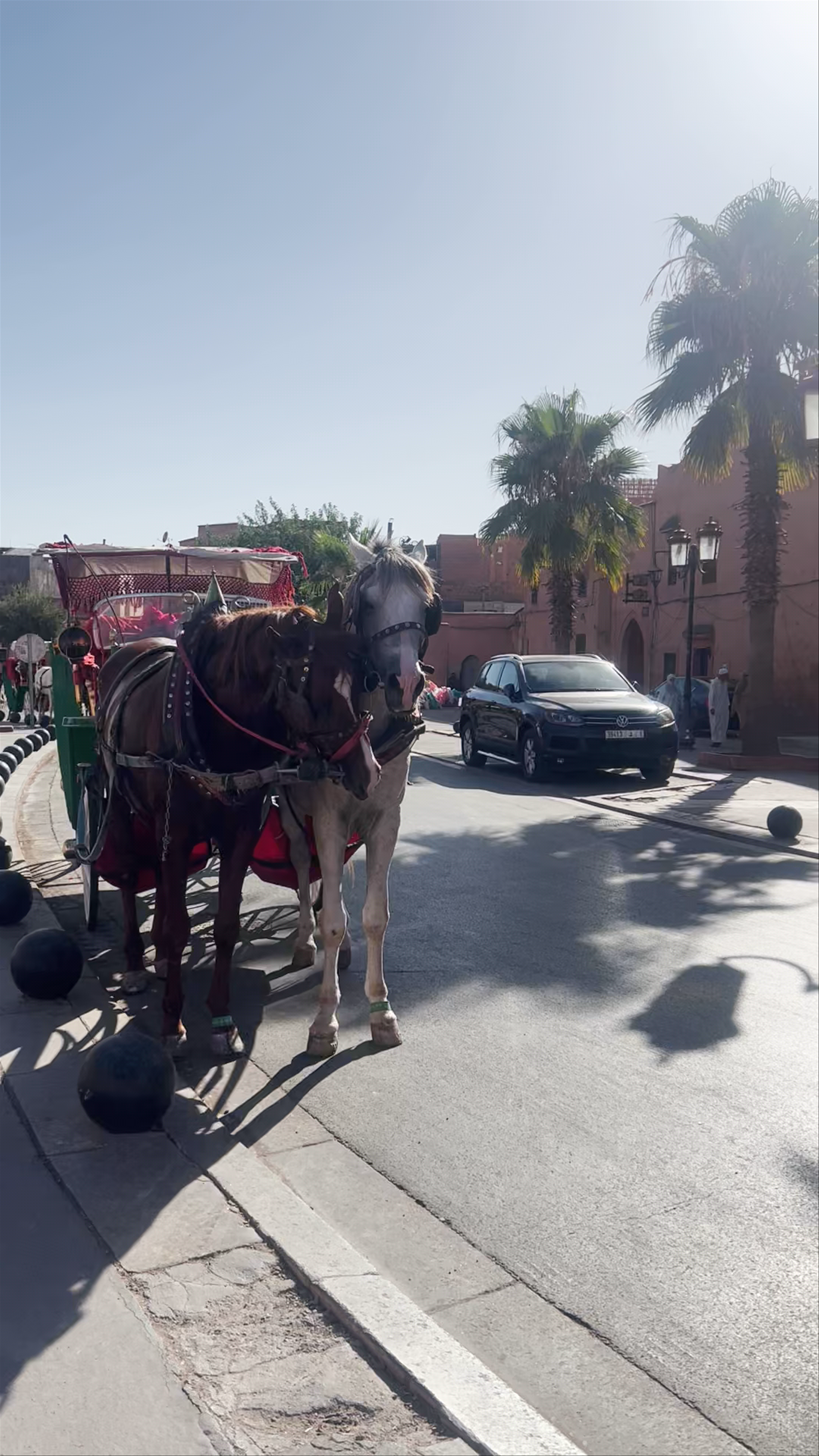 Moulay al-Yazid Mosque (Kasbah Mosque)