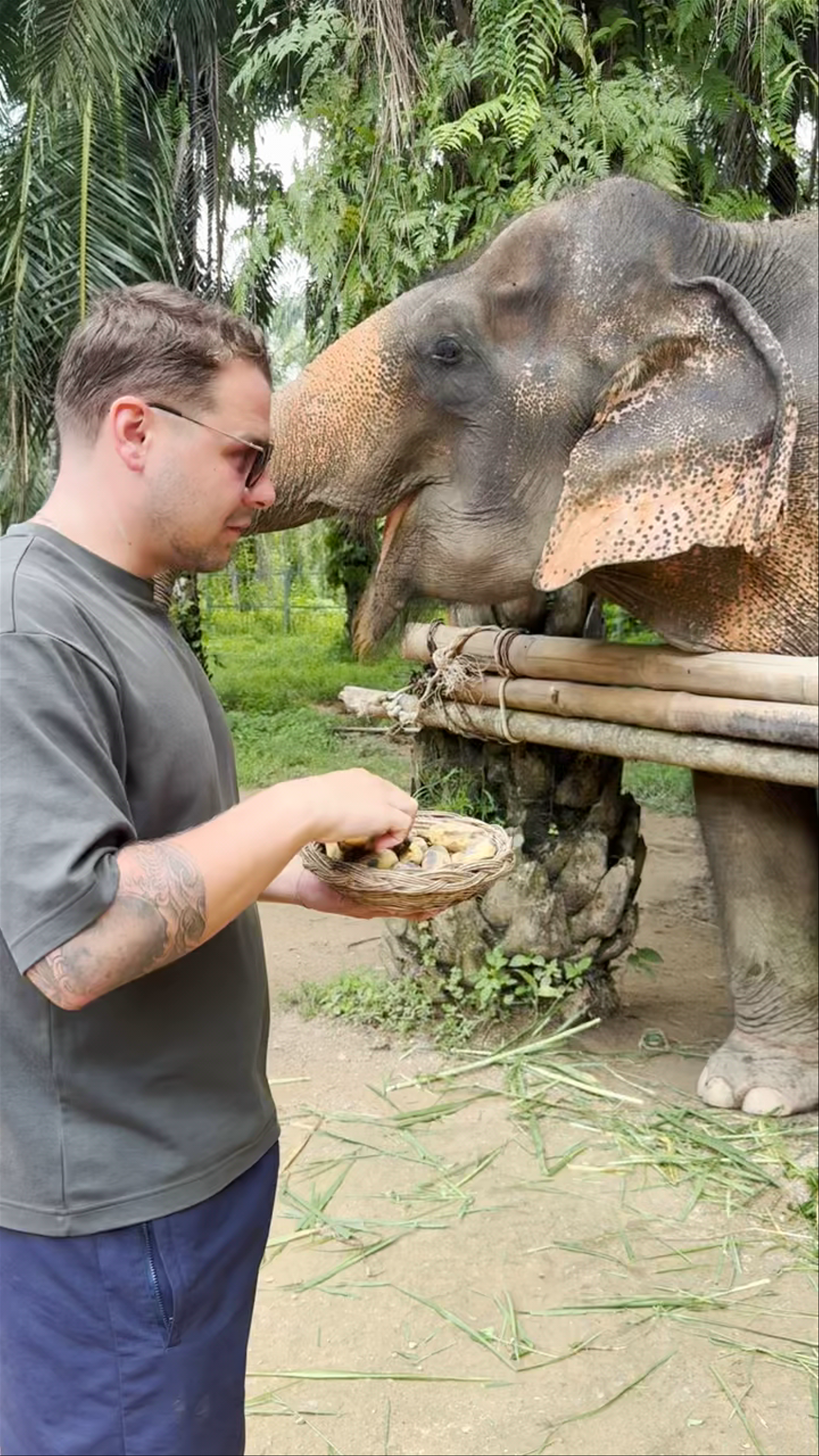 Love Elephant Sanctuary Krabi