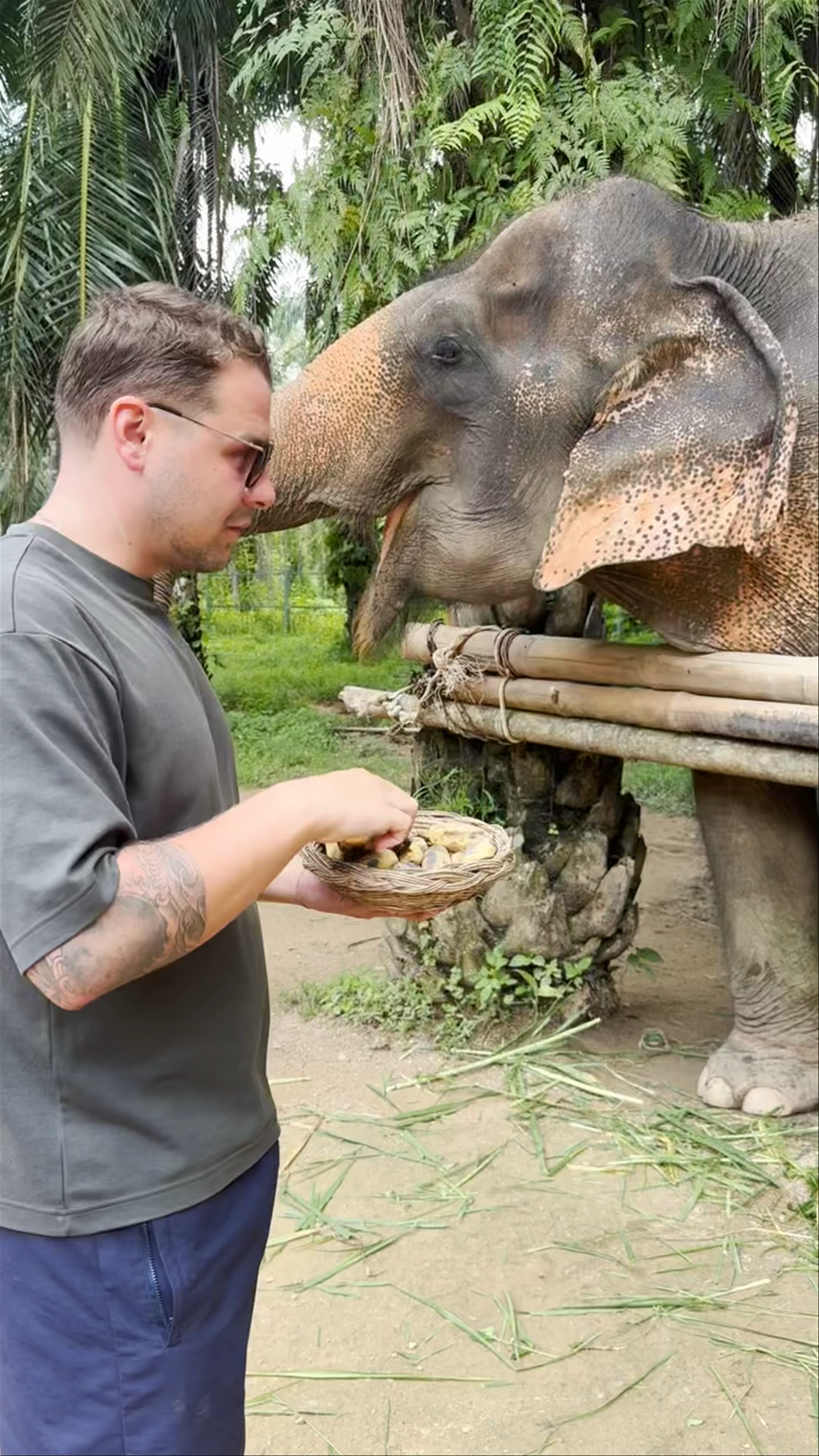 Love Elephant Sanctuary Krabi
