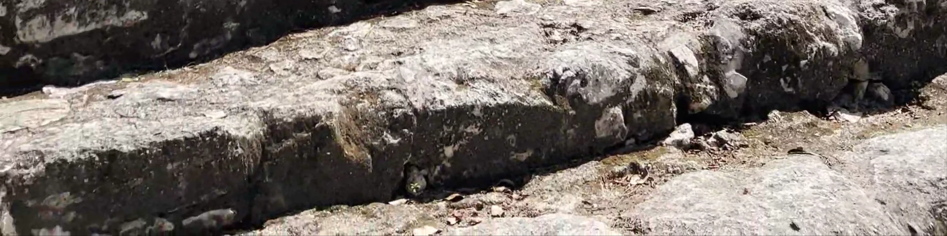 Estructura 2 Calakmul