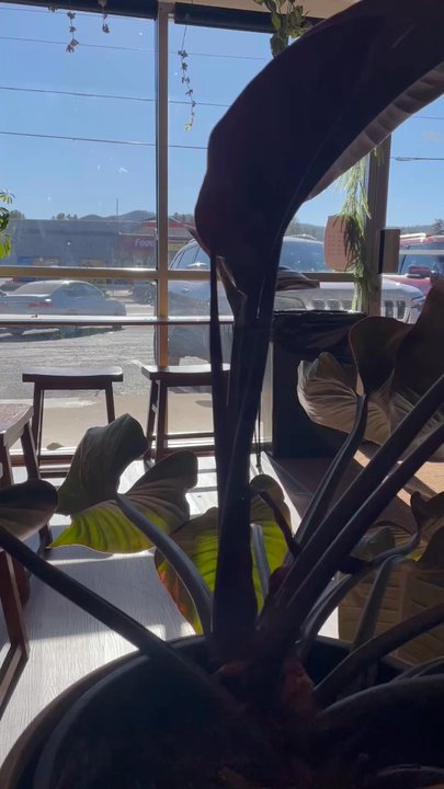 Cove Cafe - the inside - Coffee & Tea Near Me - Prescott, Arizona