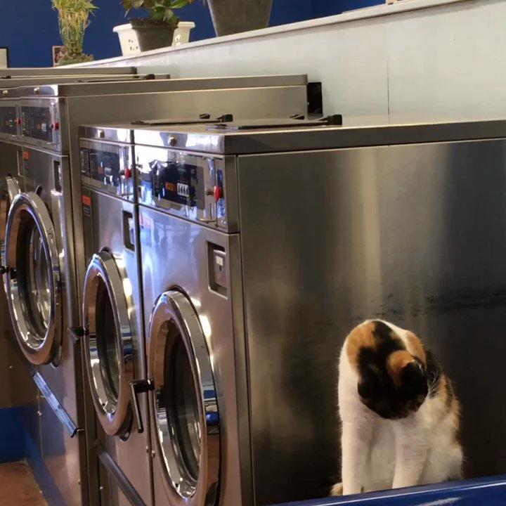 Soap Suds Coin Laundry - Laundromat Near Me - Houston, Texas