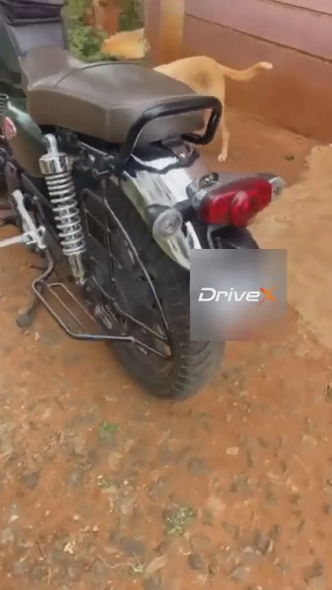 Walk-around video thumbnail