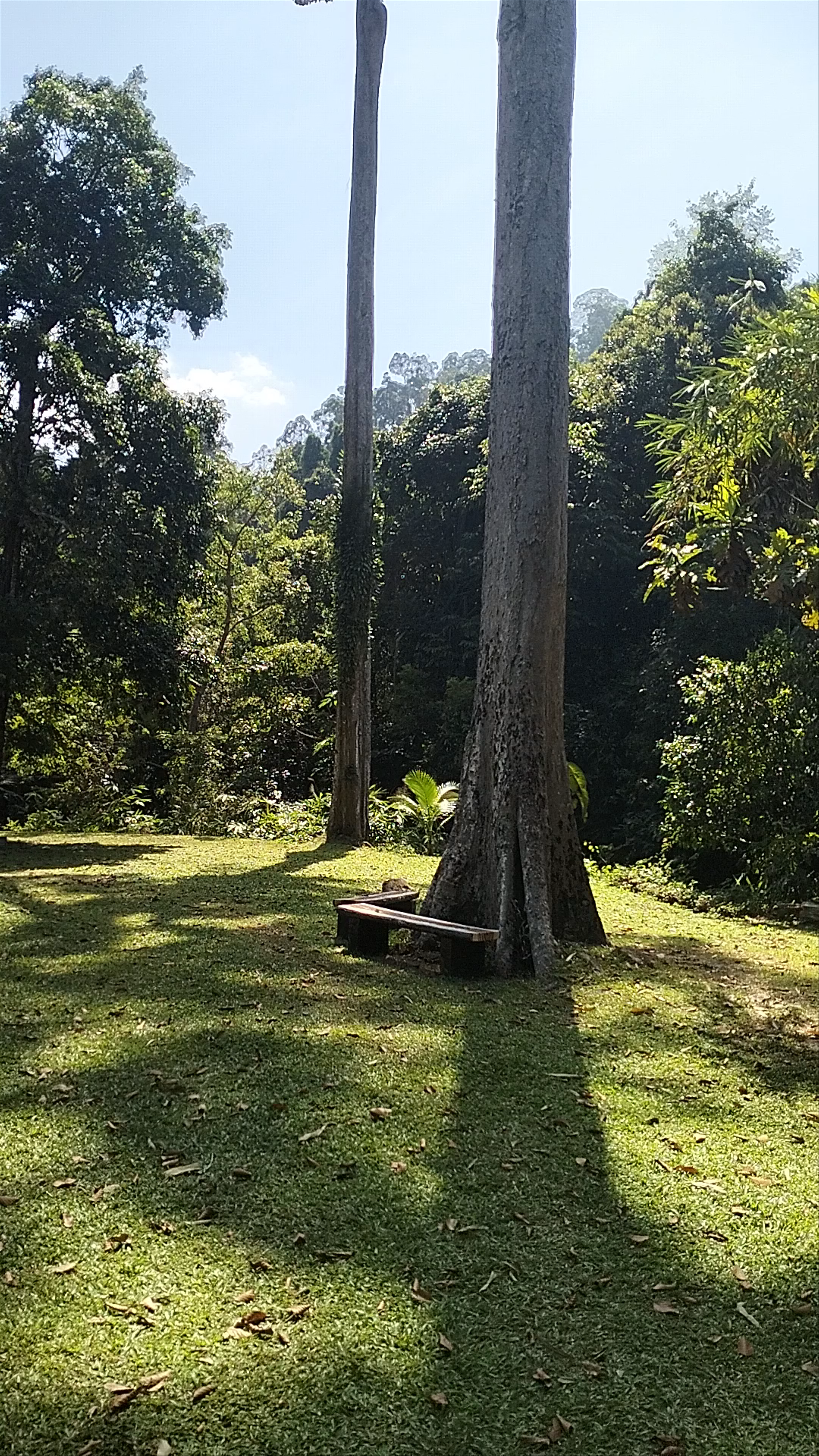 Khao Lak-Lam Ru National Park