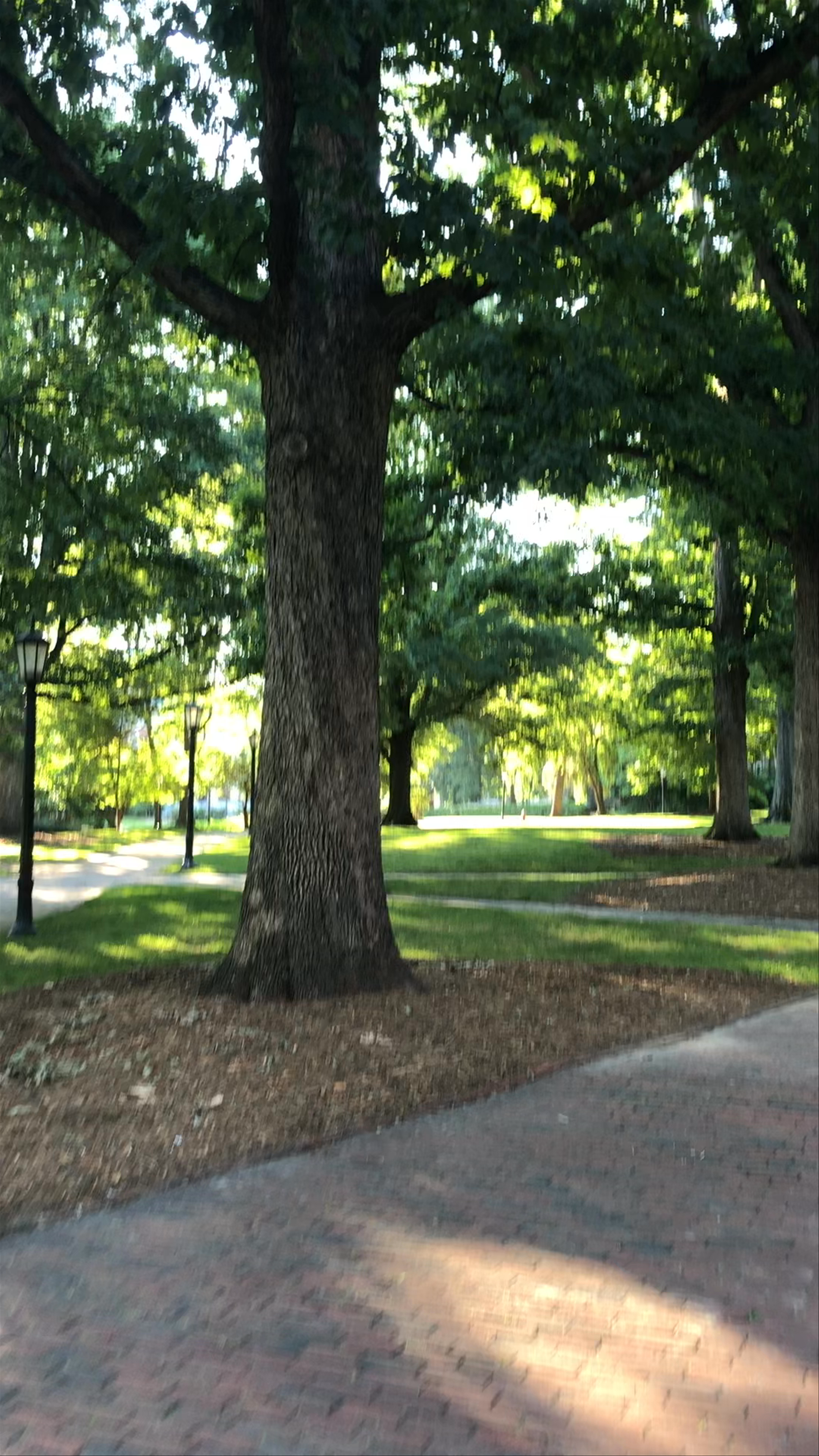 McCorkle Place