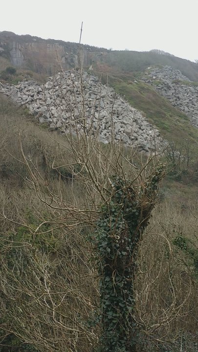 Lamorna Cove - Beaches Near Me