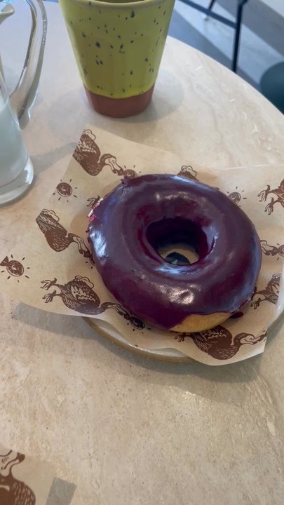 Dodo Bird Donuts - Sprinkle and blueberry donut - Donuts Near Me - La Jolla, California
