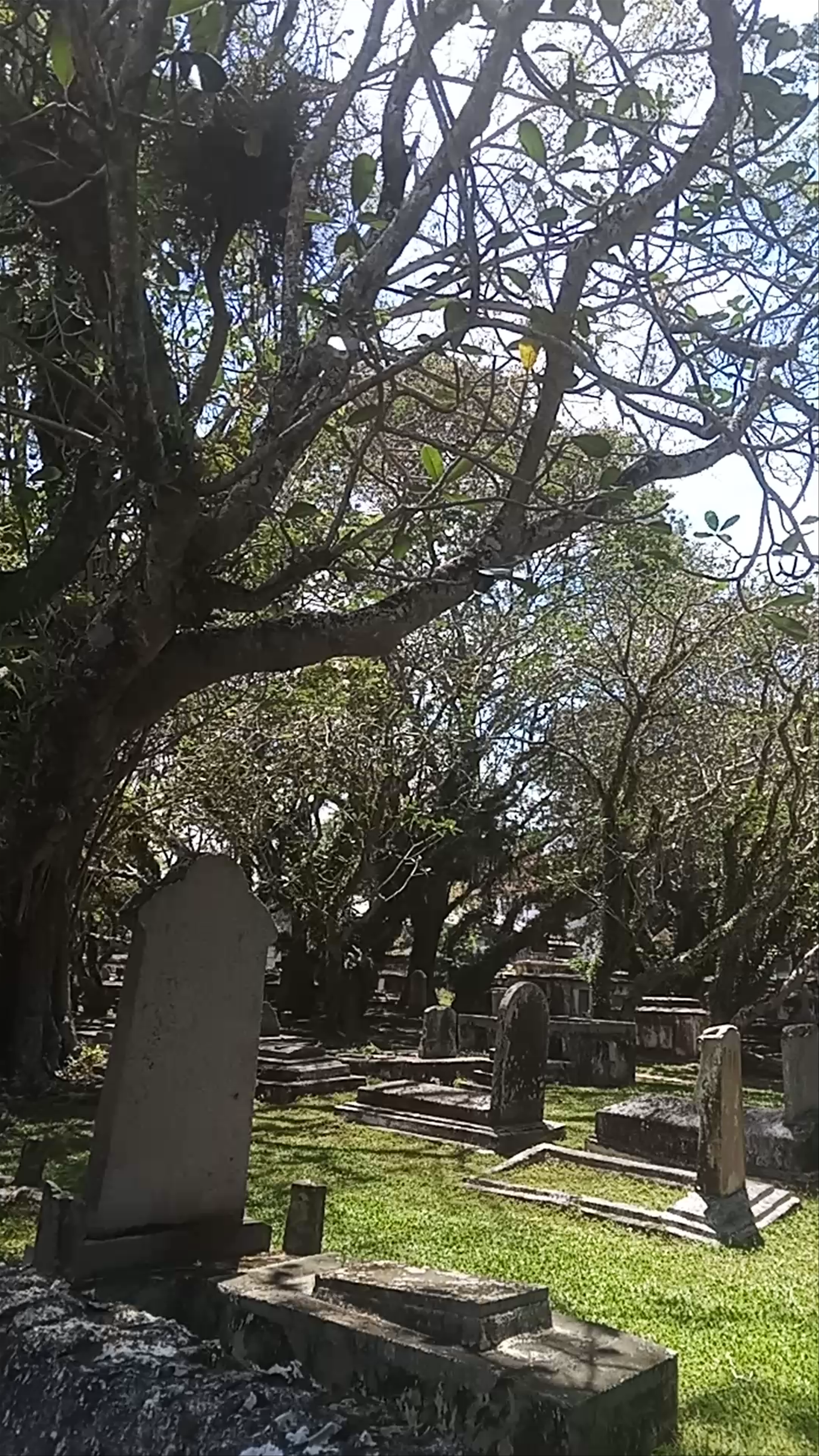 Protestant Cemetery