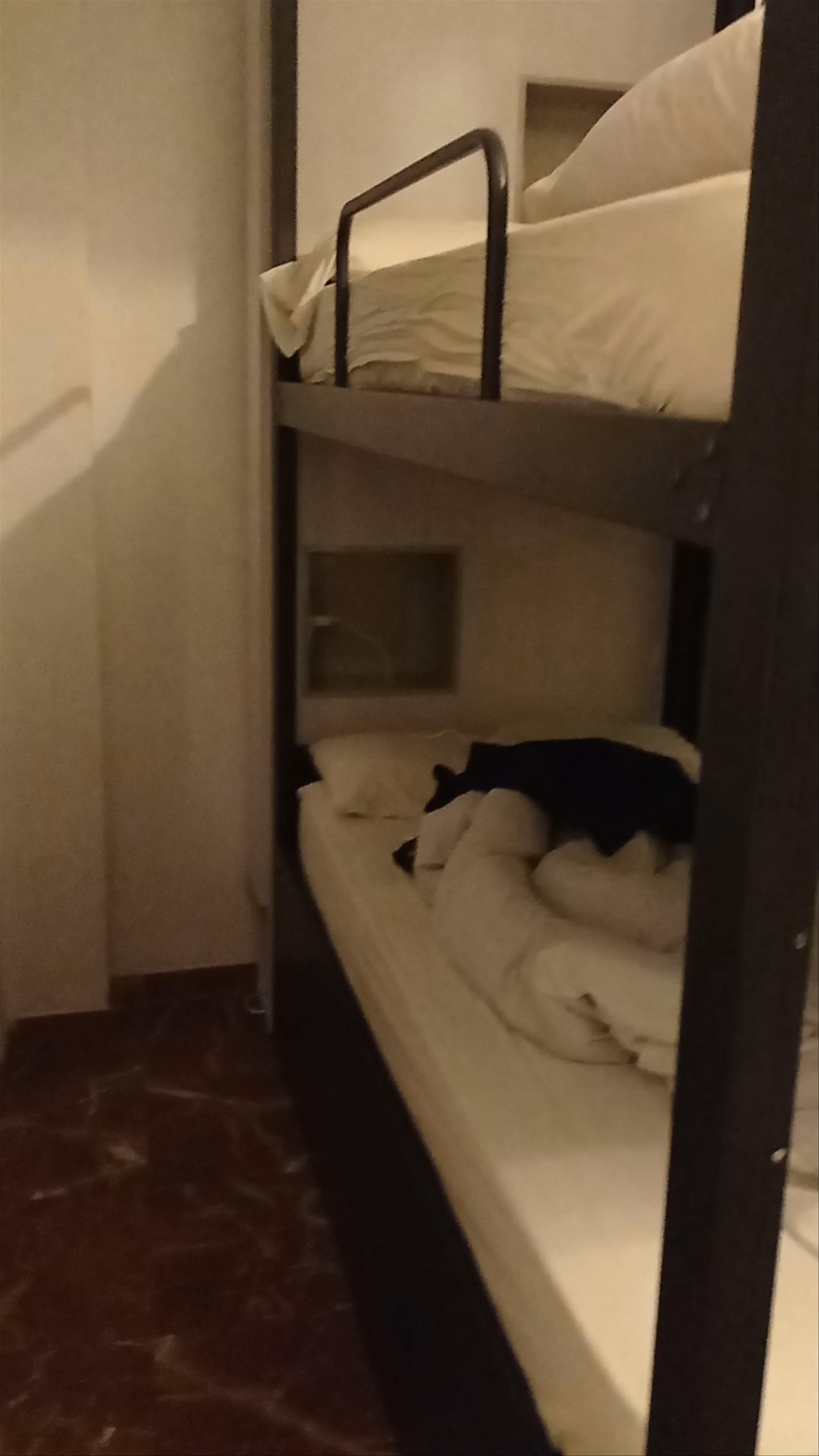 Hostel One Catedral - Cozy Bunk Bed Stay in Sevilla