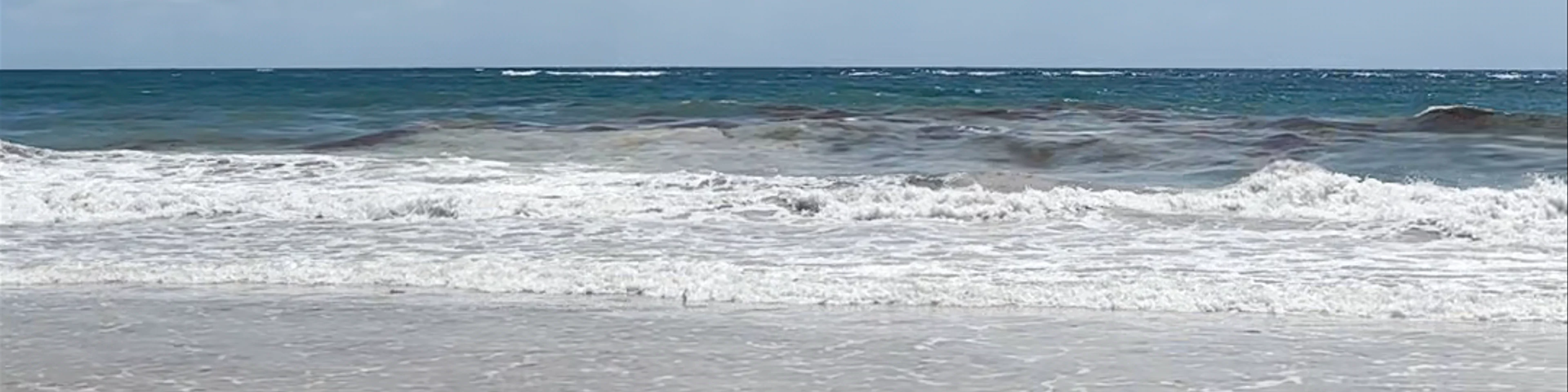 SOTU - South Tulum
