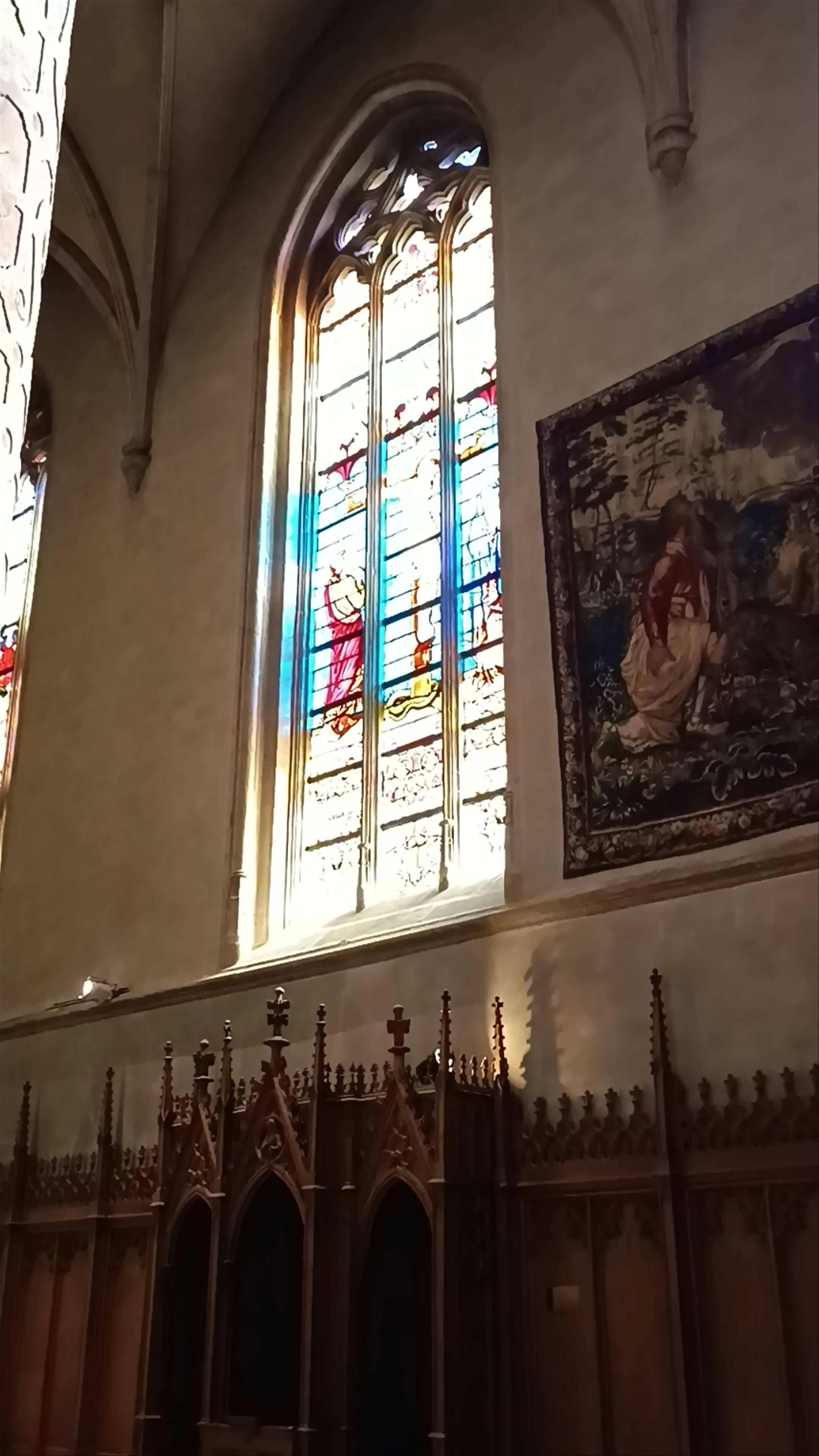 Cathédrale Notre-Dame