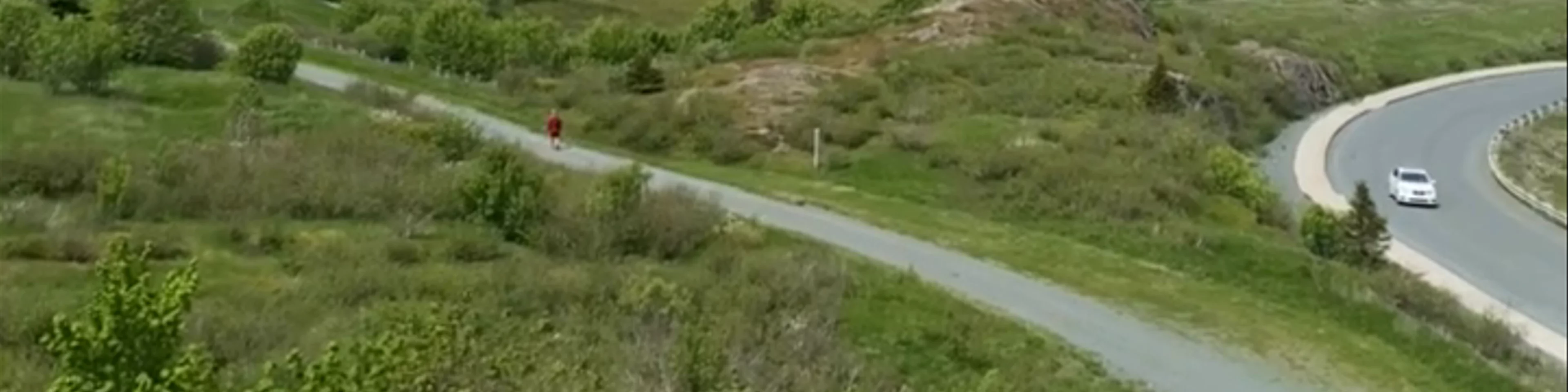 Signal Hill National Historic Site